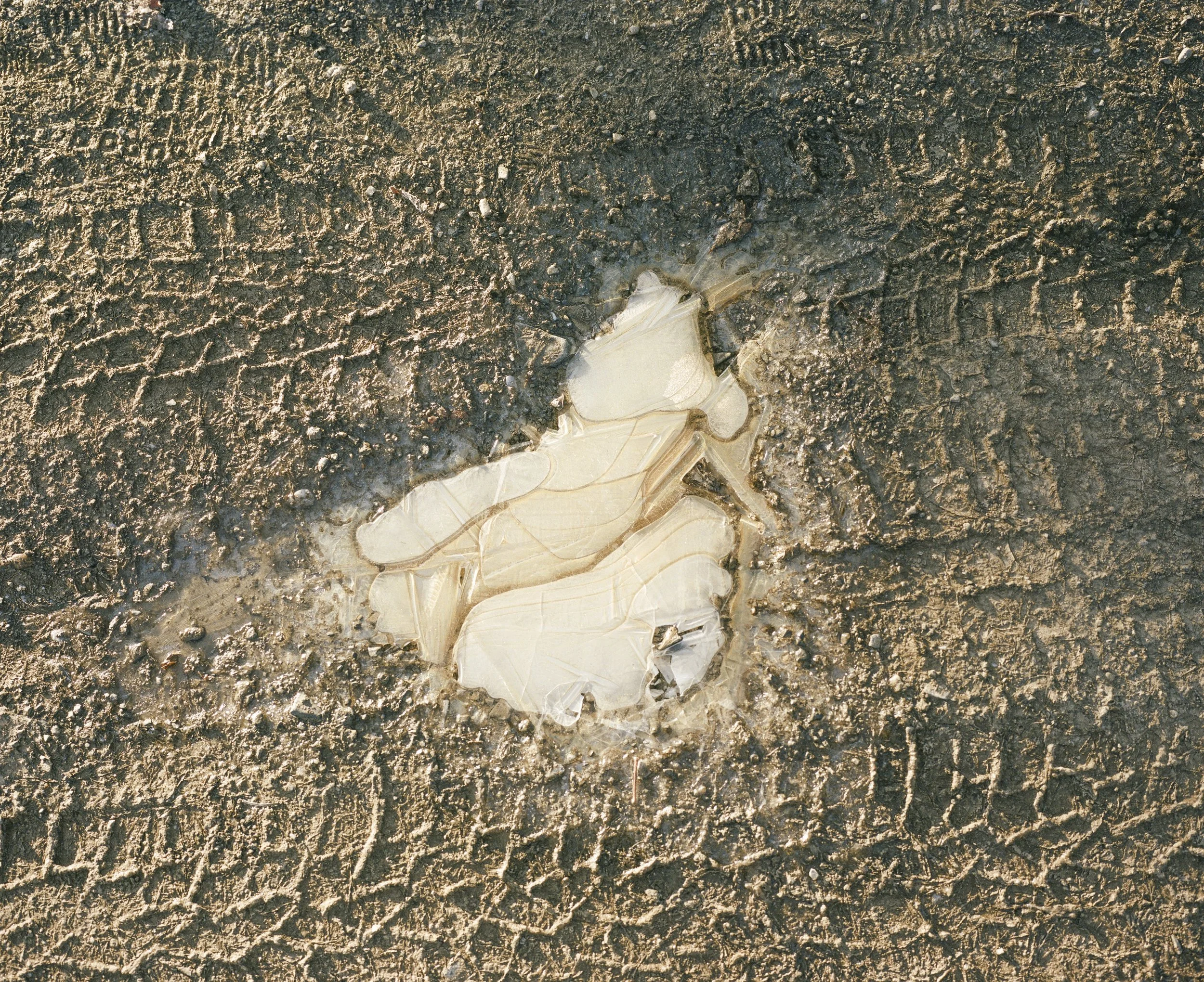 000401200007_web.jpg