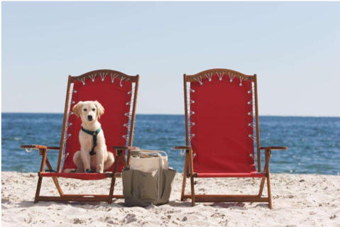 4 dog friendly resorts in the northeast - the honeymoon concierge.png