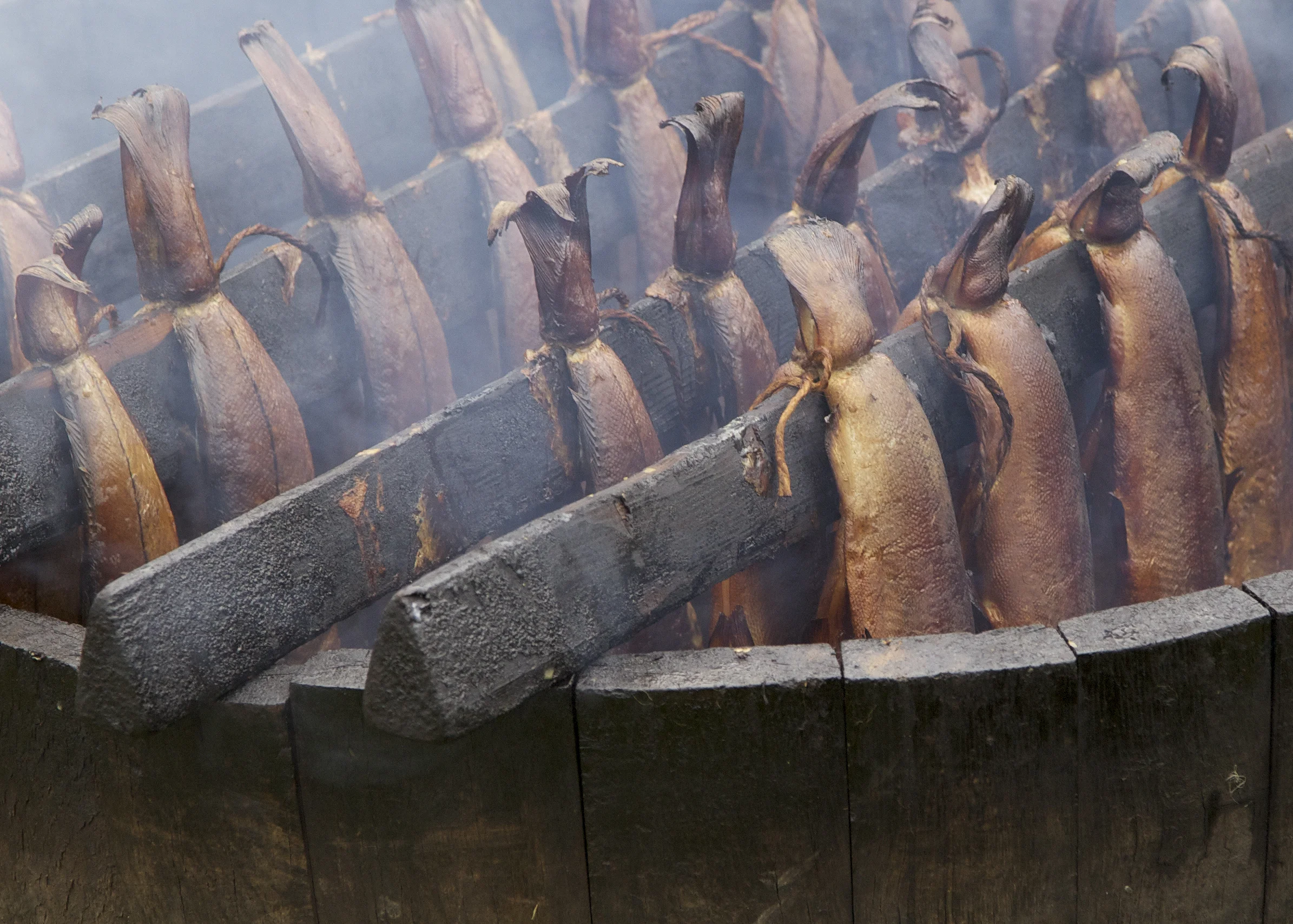 Arbroath smokies 