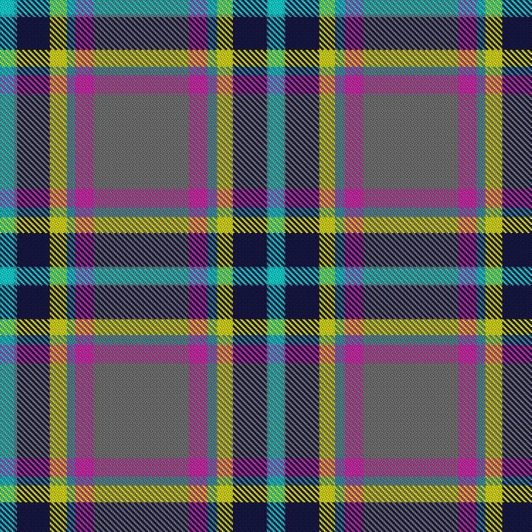 skyscanner tartan 2.jpeg