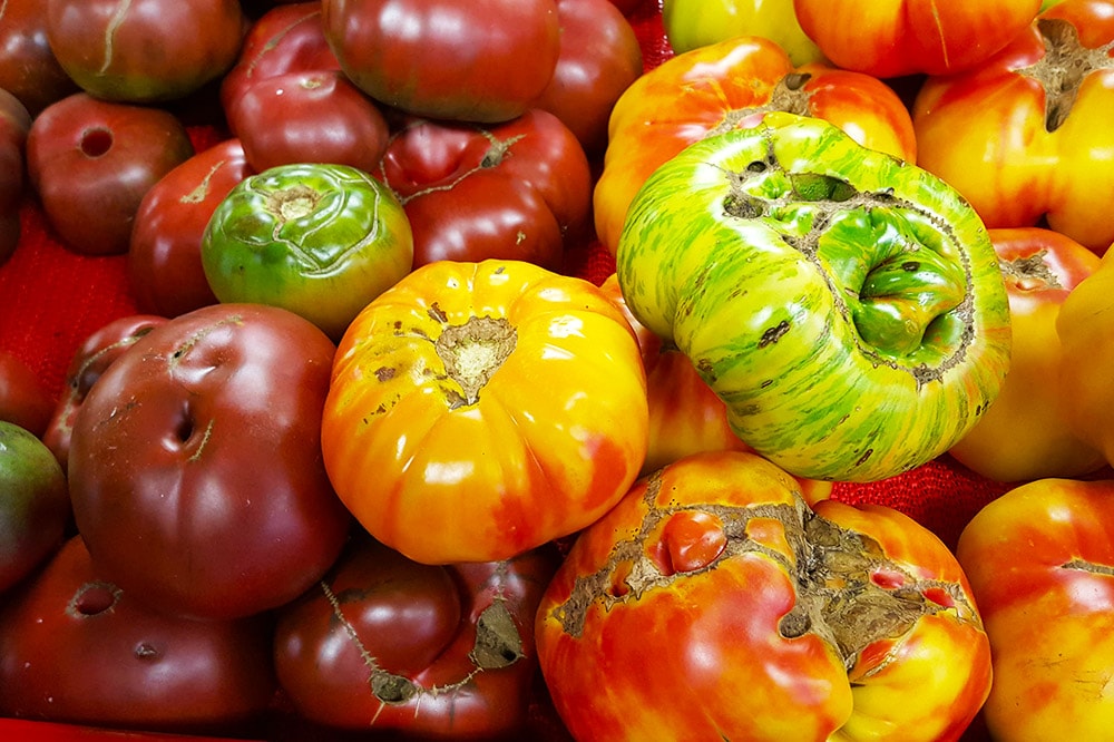 tomatoes-min.jpg