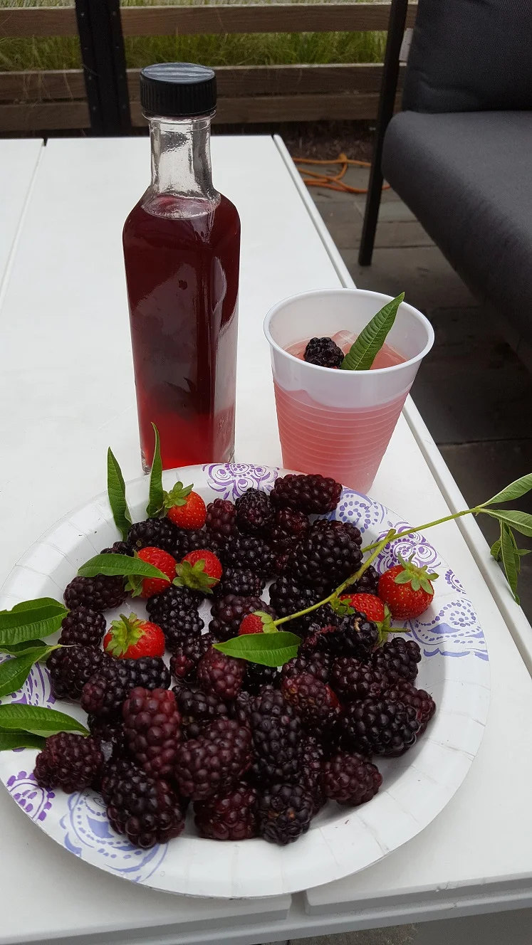 berry.jpg