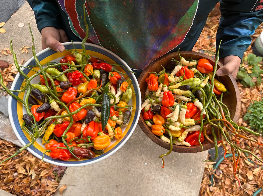 DIY Hot Sauce Blending