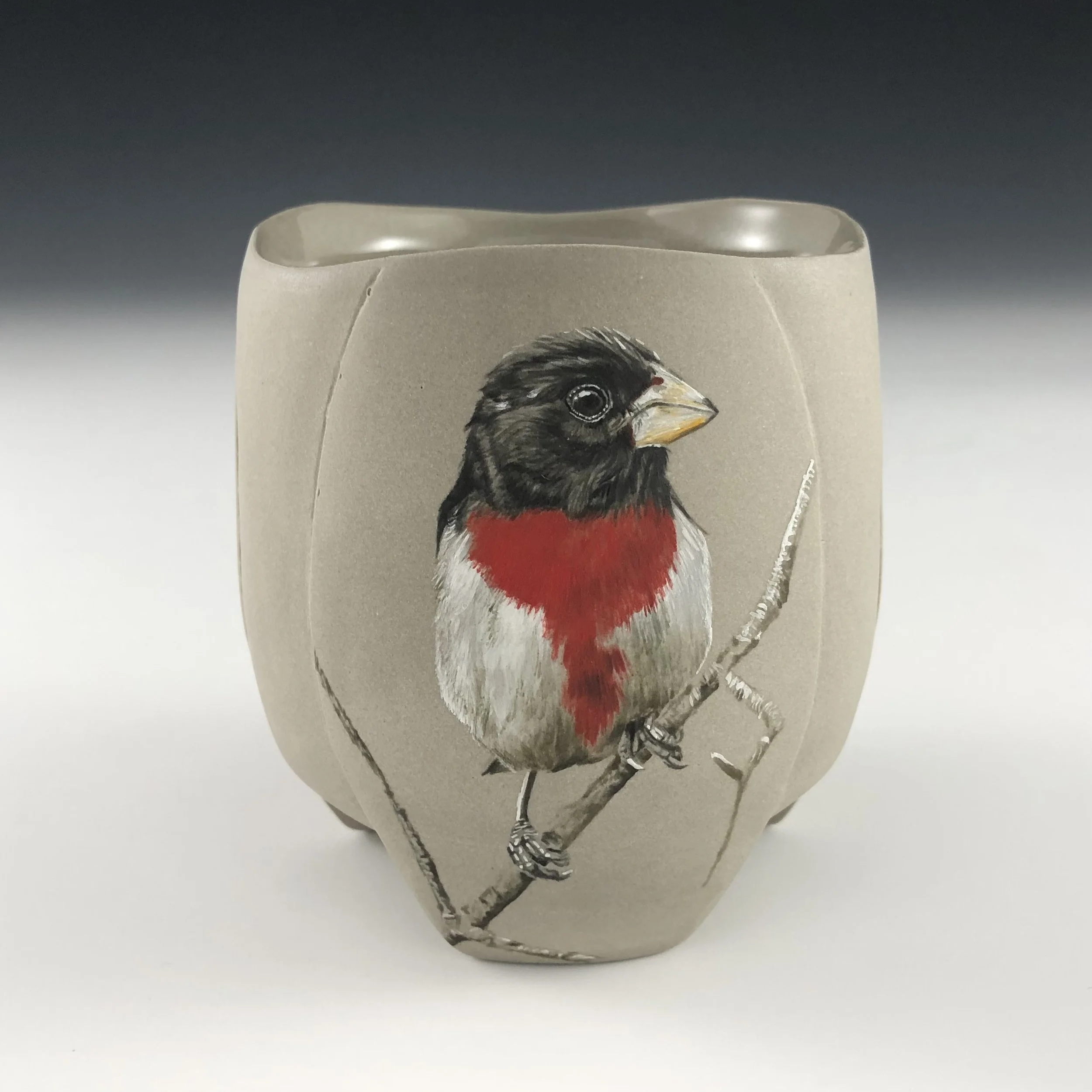 Rose-breasted grosbeak cup
