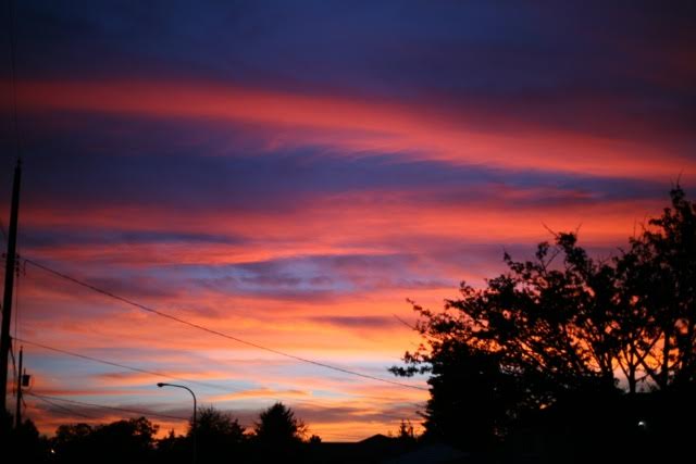 As I have done with every Curious Questions recipient, I asked Mike to take a picture of something of beauty that he witnessed in his day. He sent me this. Turns out I had taken a picture of the very same sunset before I had gotten his email. Go figure.