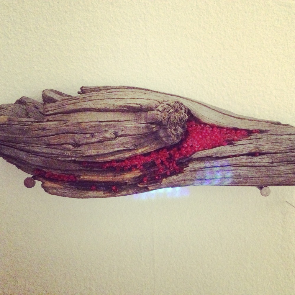 Image from her (Stolons) installation.
