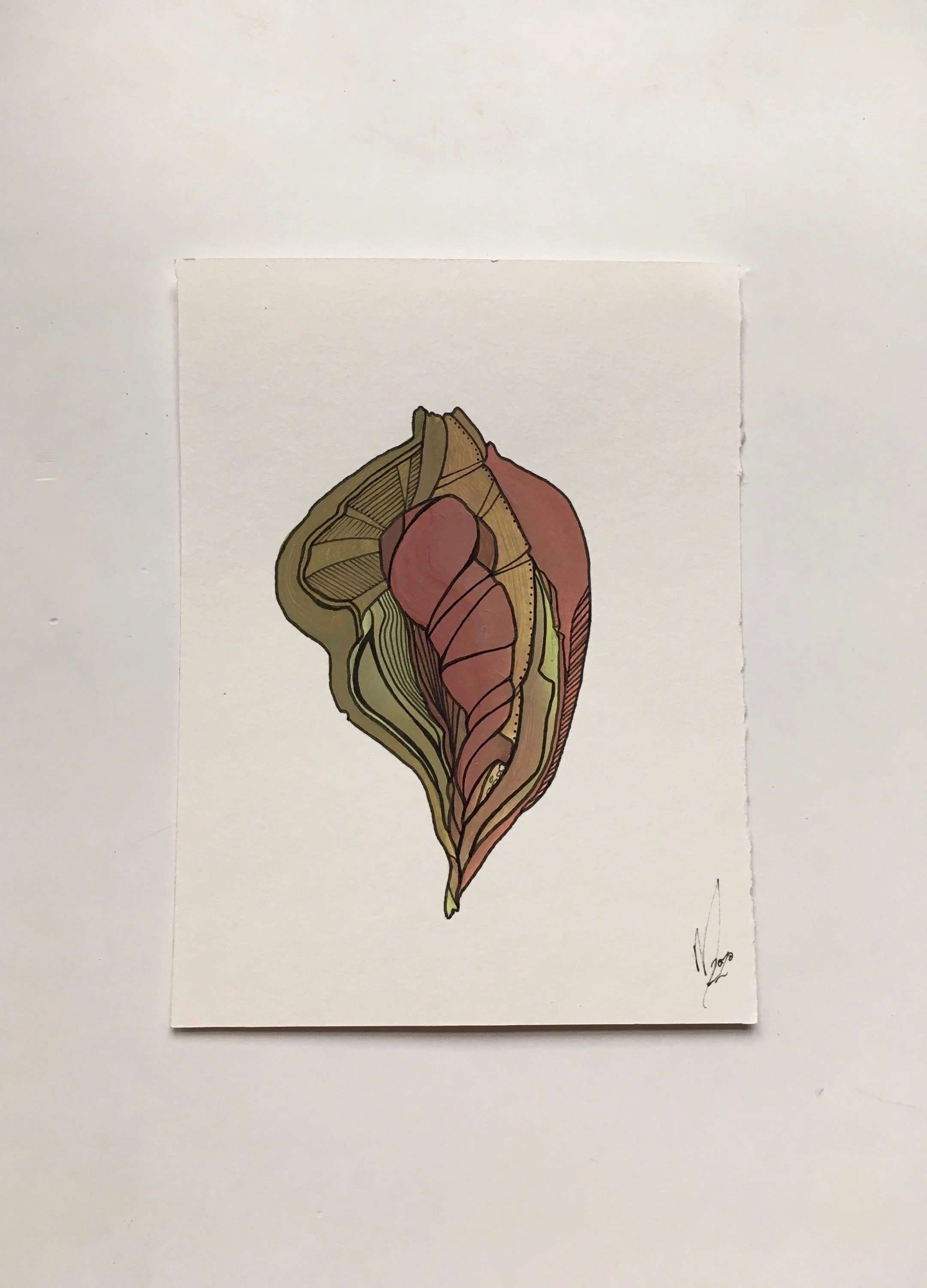 https://i.etsystatic.com/13814286/r/il/132b0e/2524077124/il_fullxfull.2524077124_ektr.jpg
