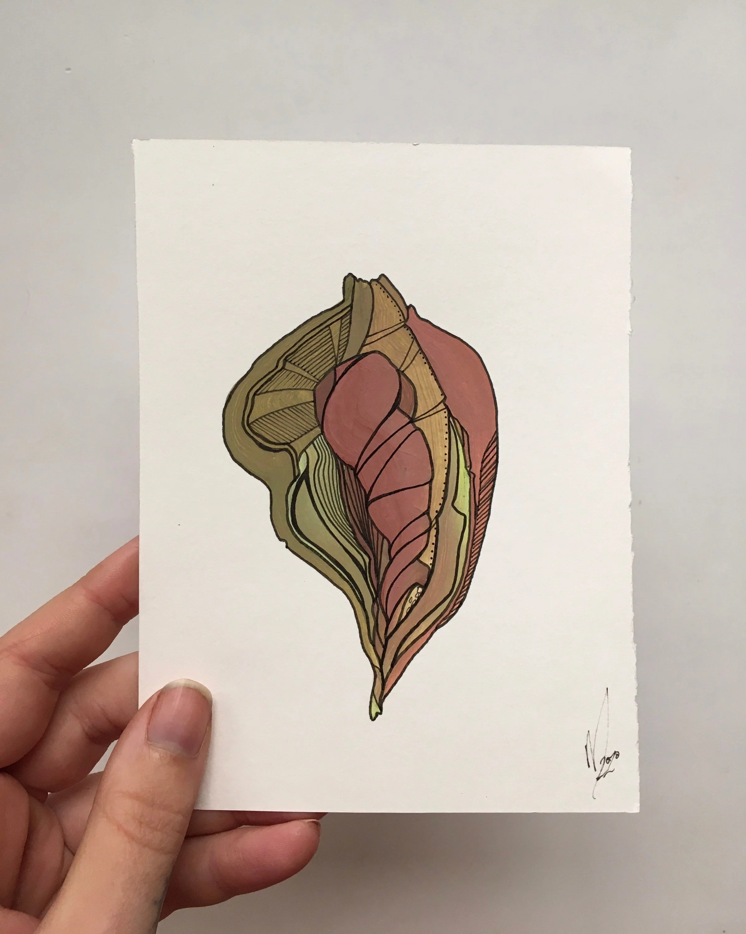 https://i.etsystatic.com/13814286/r/il/c12756/2571734505/il_fullxfull.2571734505_fzqx.jpg