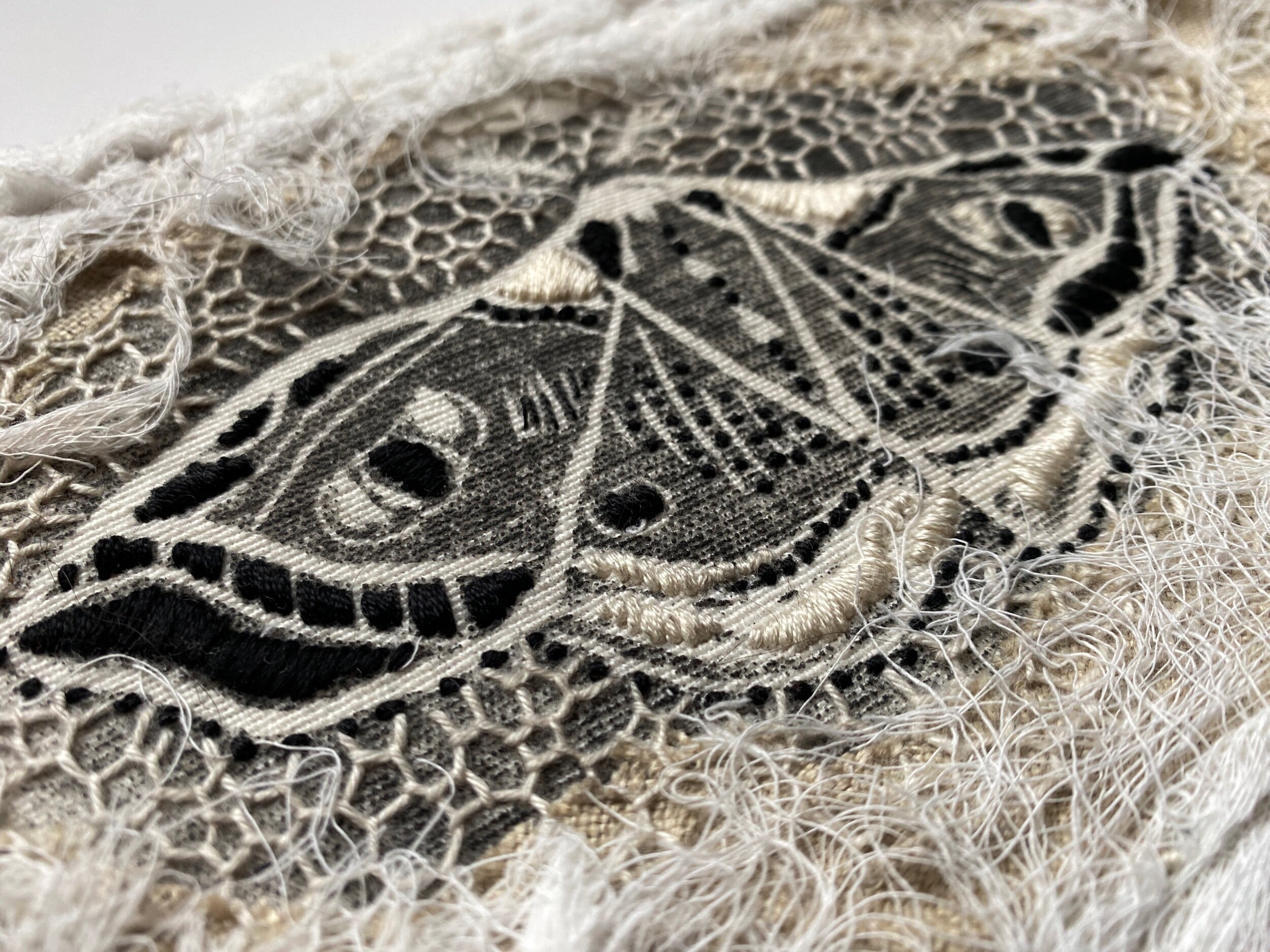 8DD3EF50-2252-4F7C-AF98-33014EBE97A9