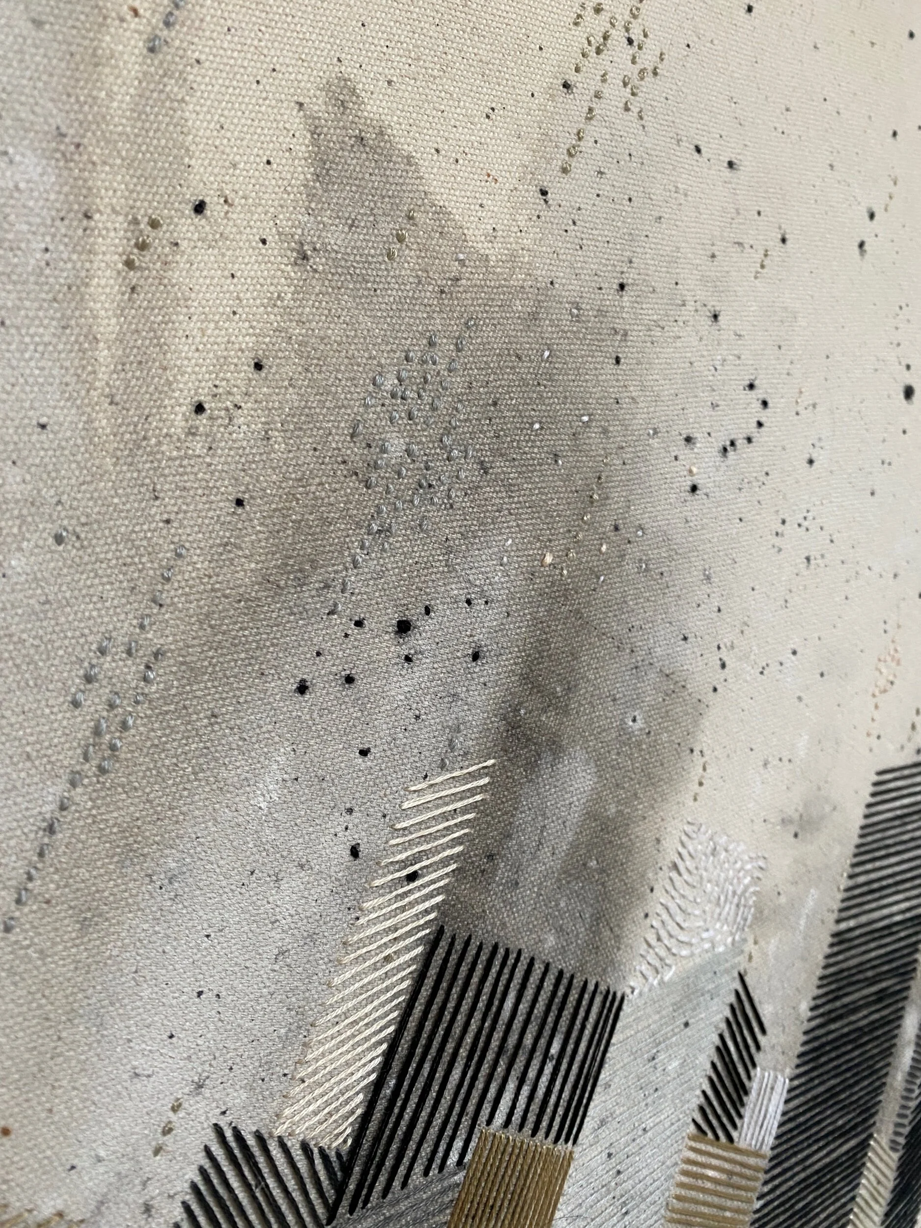 B4C2AFD5-5306-4969-83C4-AD8EBC0DD40B