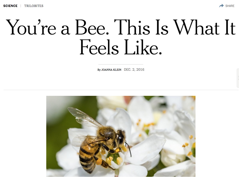 Choose your own bee-venture!