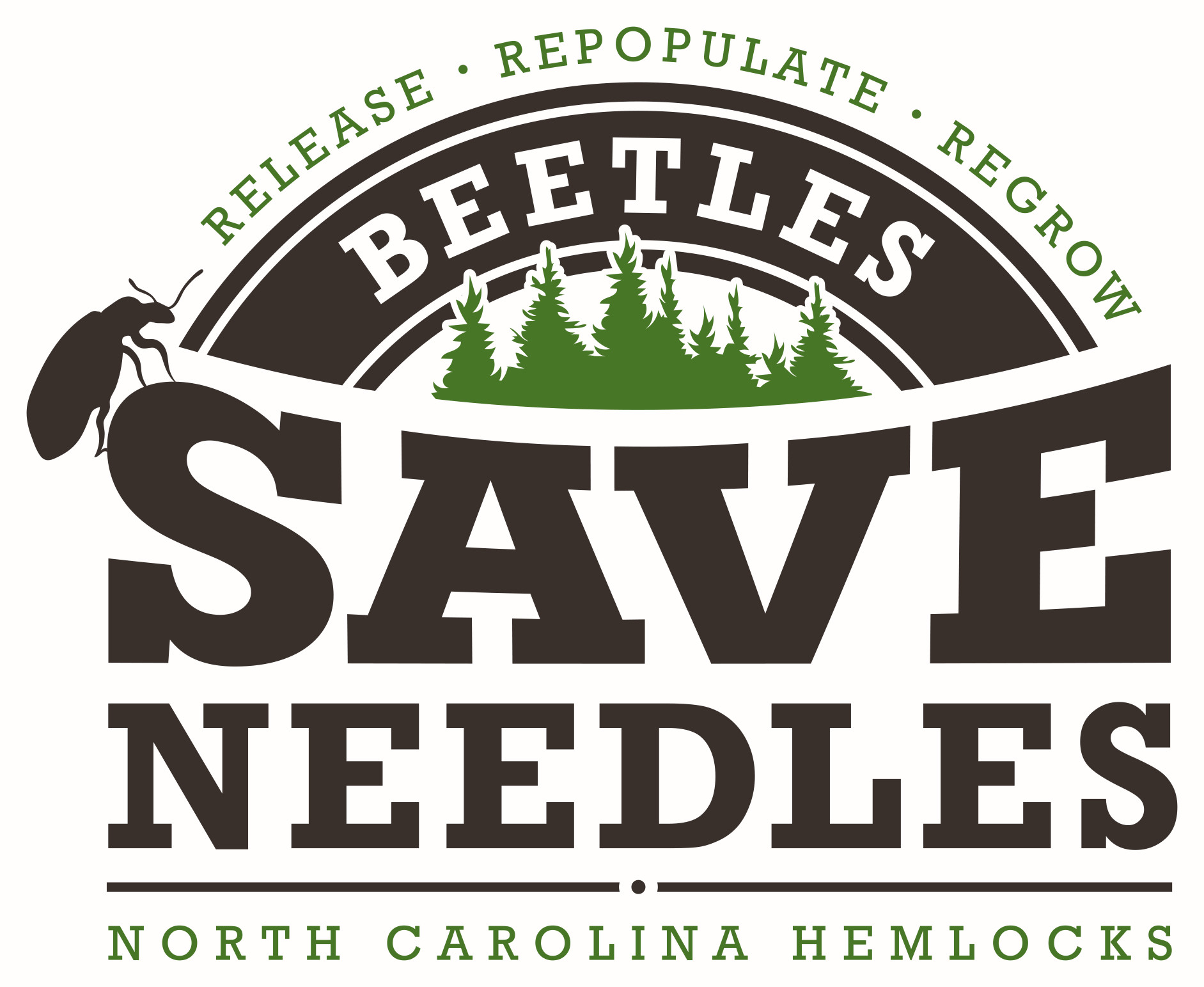 Beetles Save HUGE.jpg