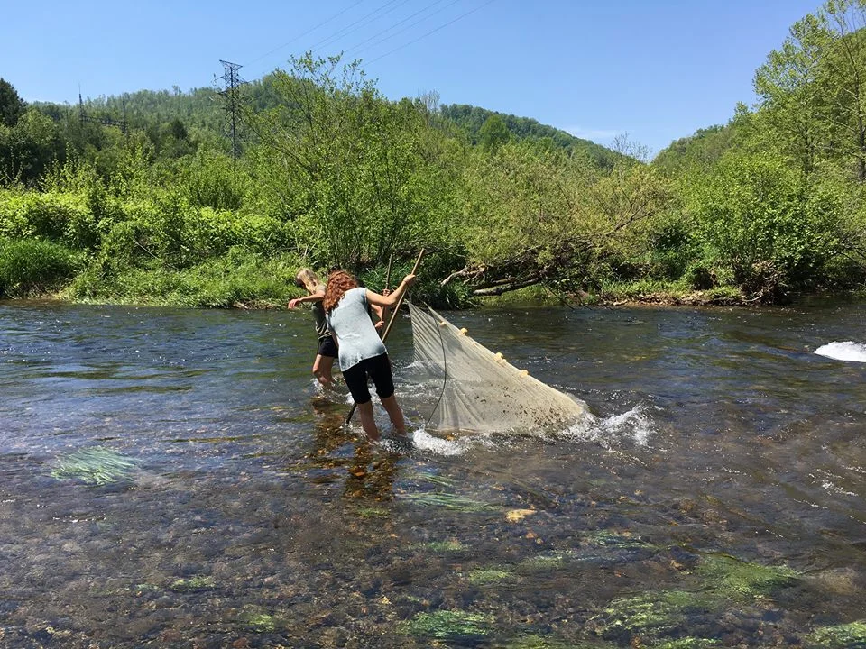 Cane River Benthic Invertebrates 