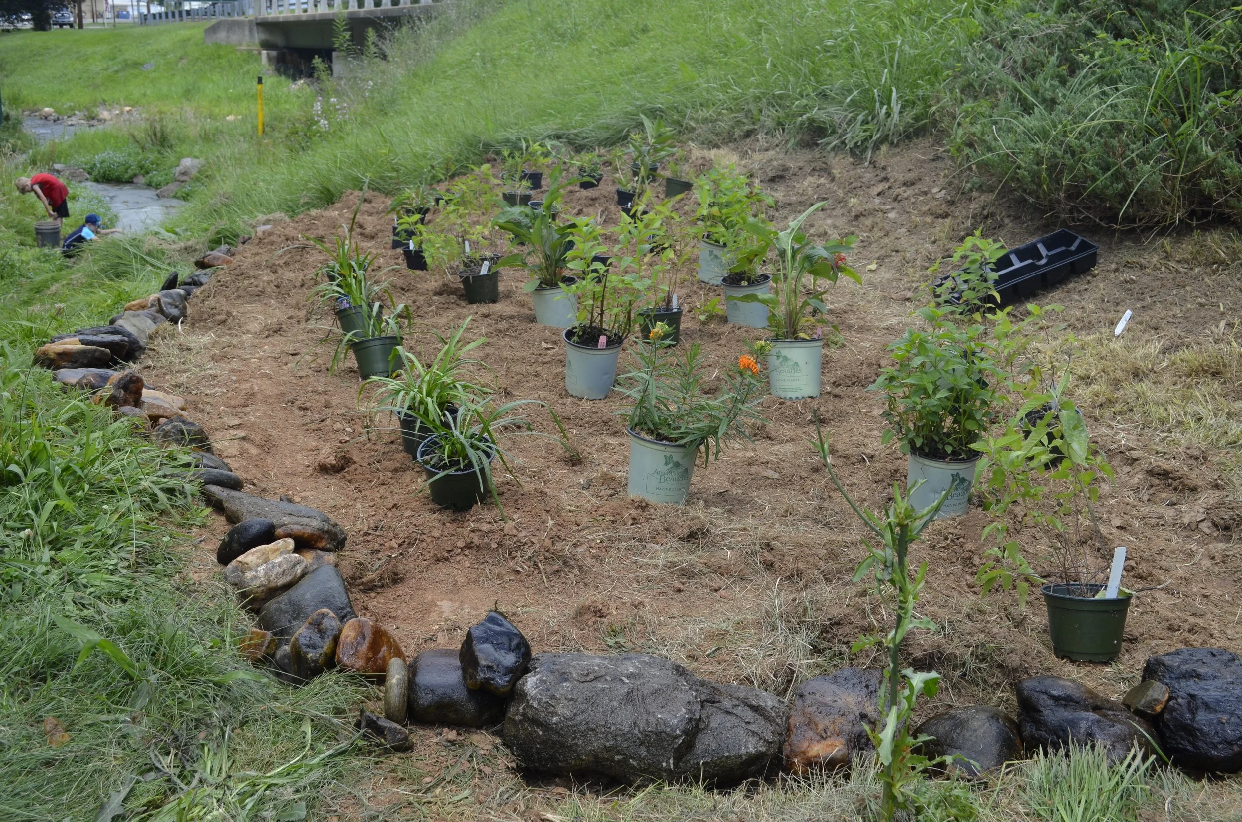 Building Pollinator Habitat
