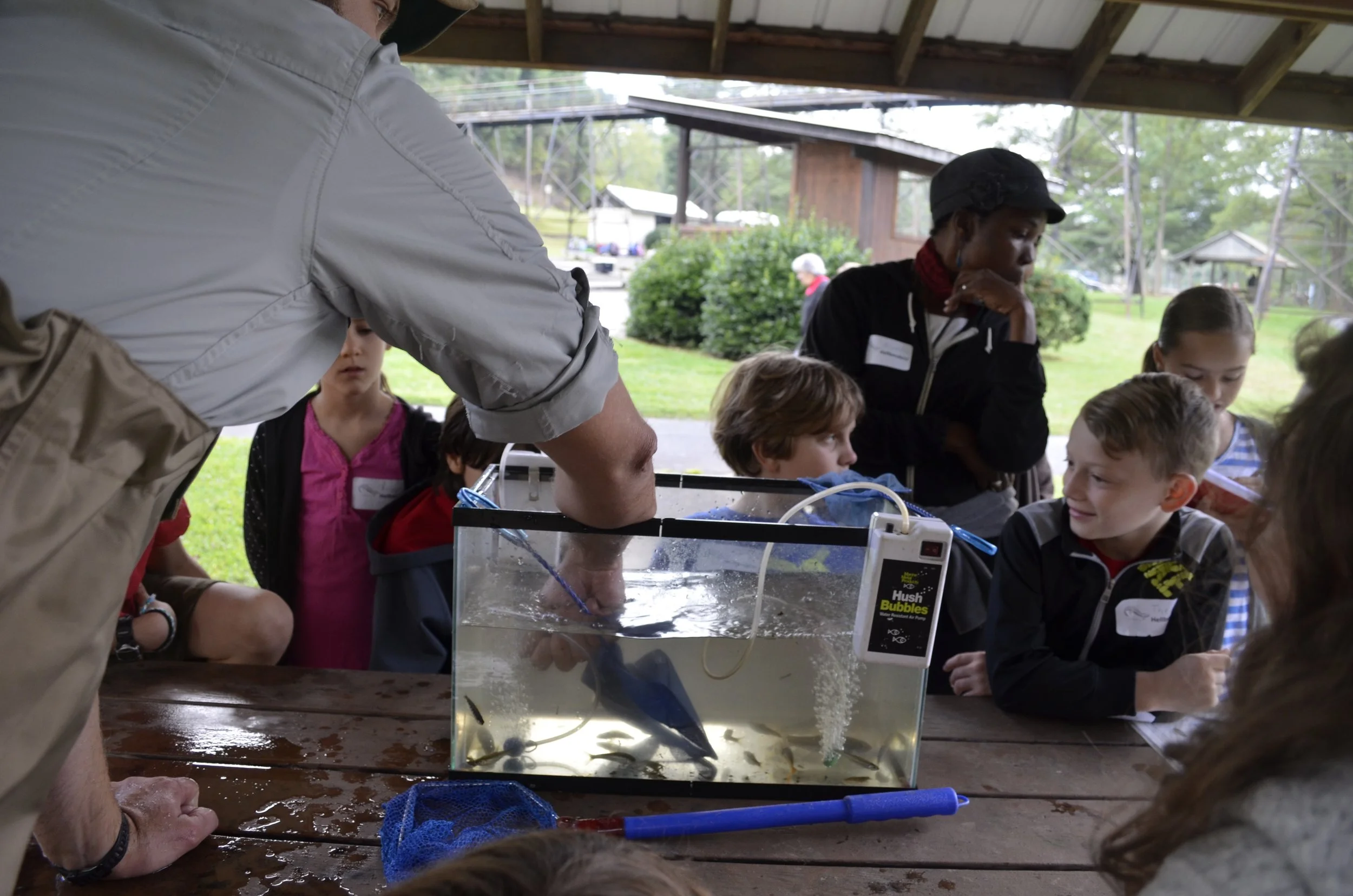 Mitchell County Toes in the Toe