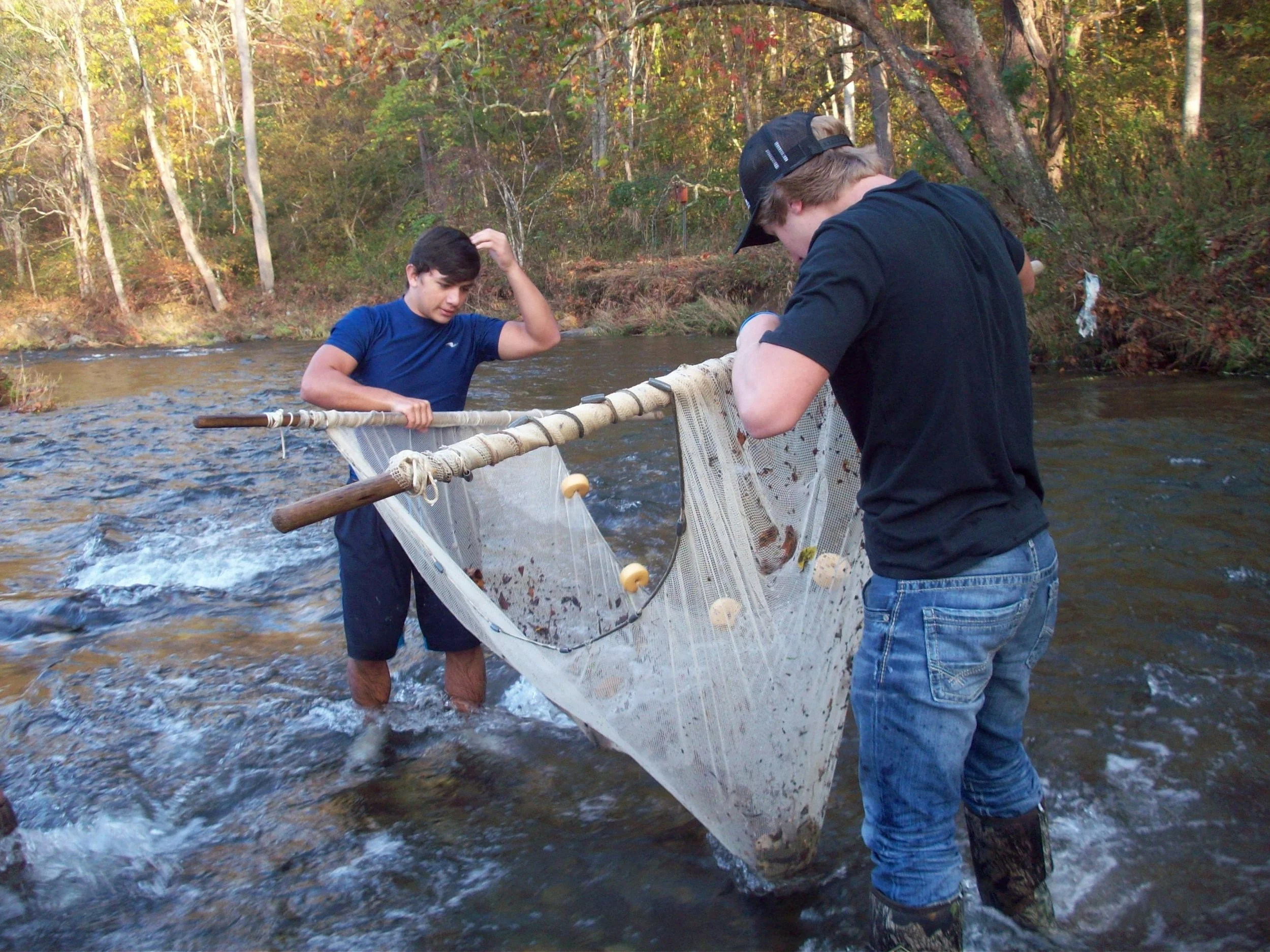 Students Sample Macroinvertebrates