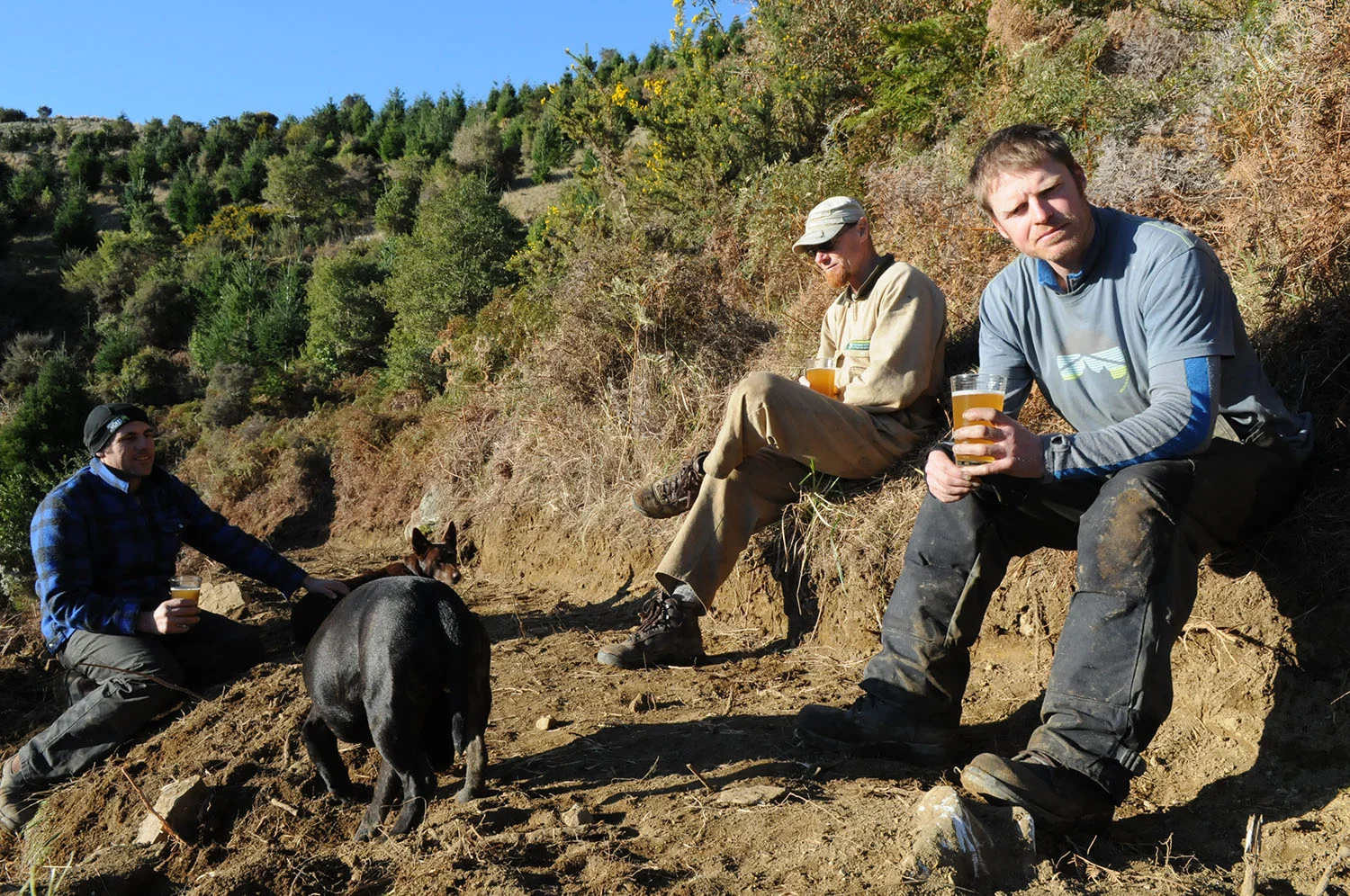 Rameka Track working b'ee 