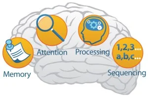 Autism and Neuroscience: 4 Things You Should Know