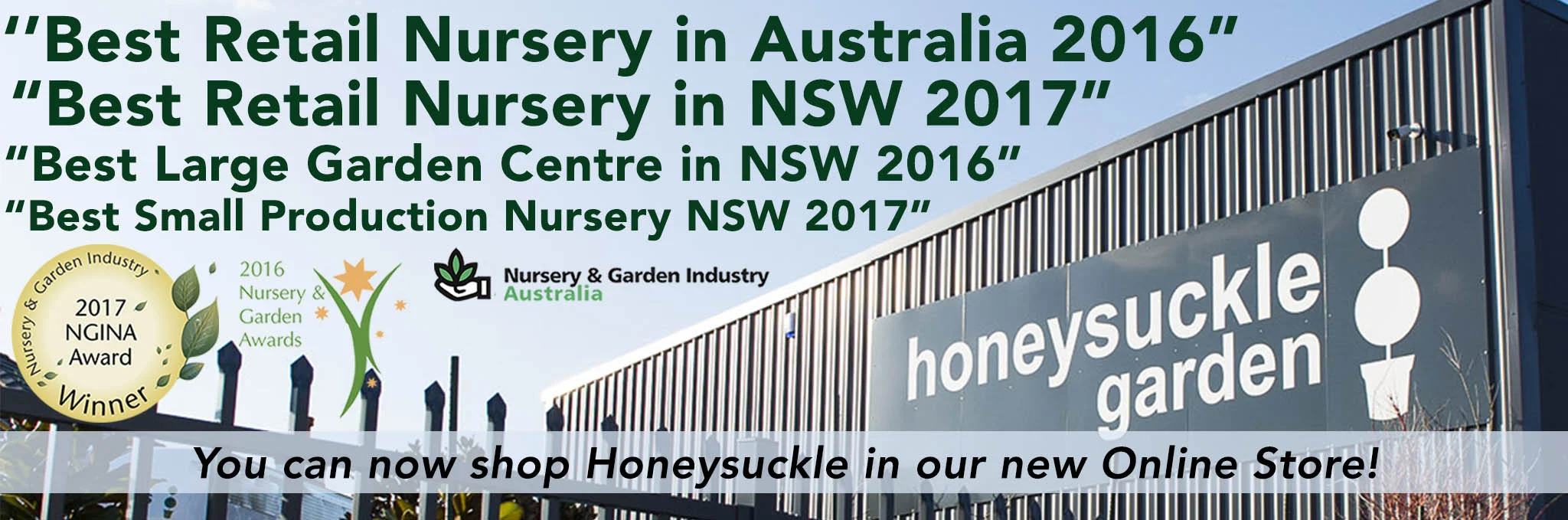 Online store announcement.jpg