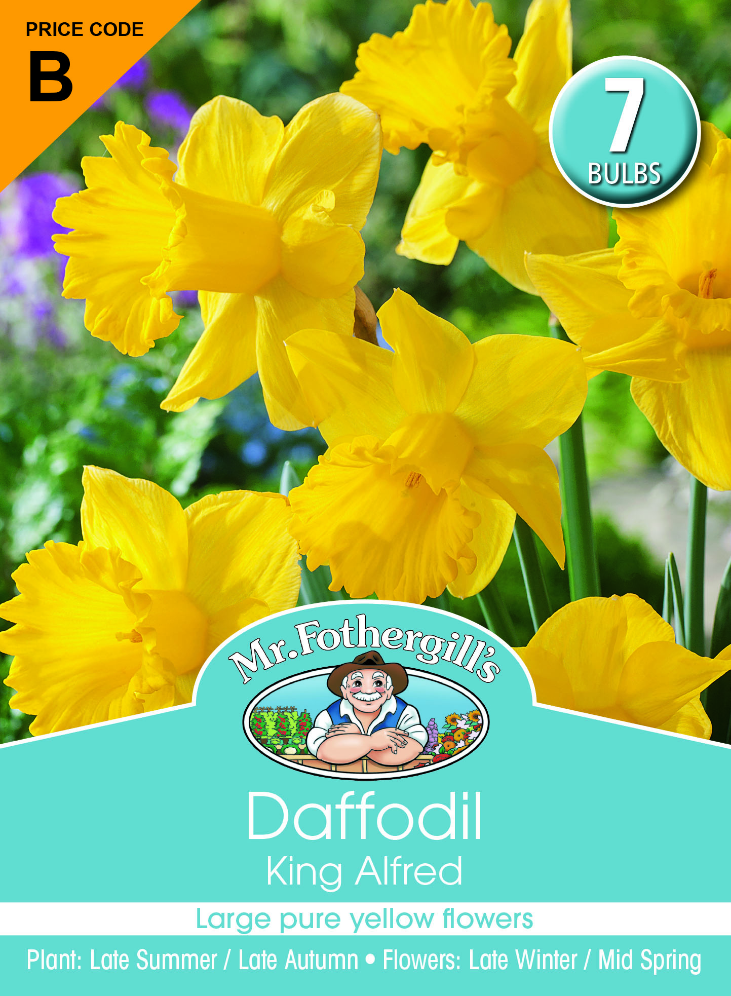 Daffodil King Alfred.jpg