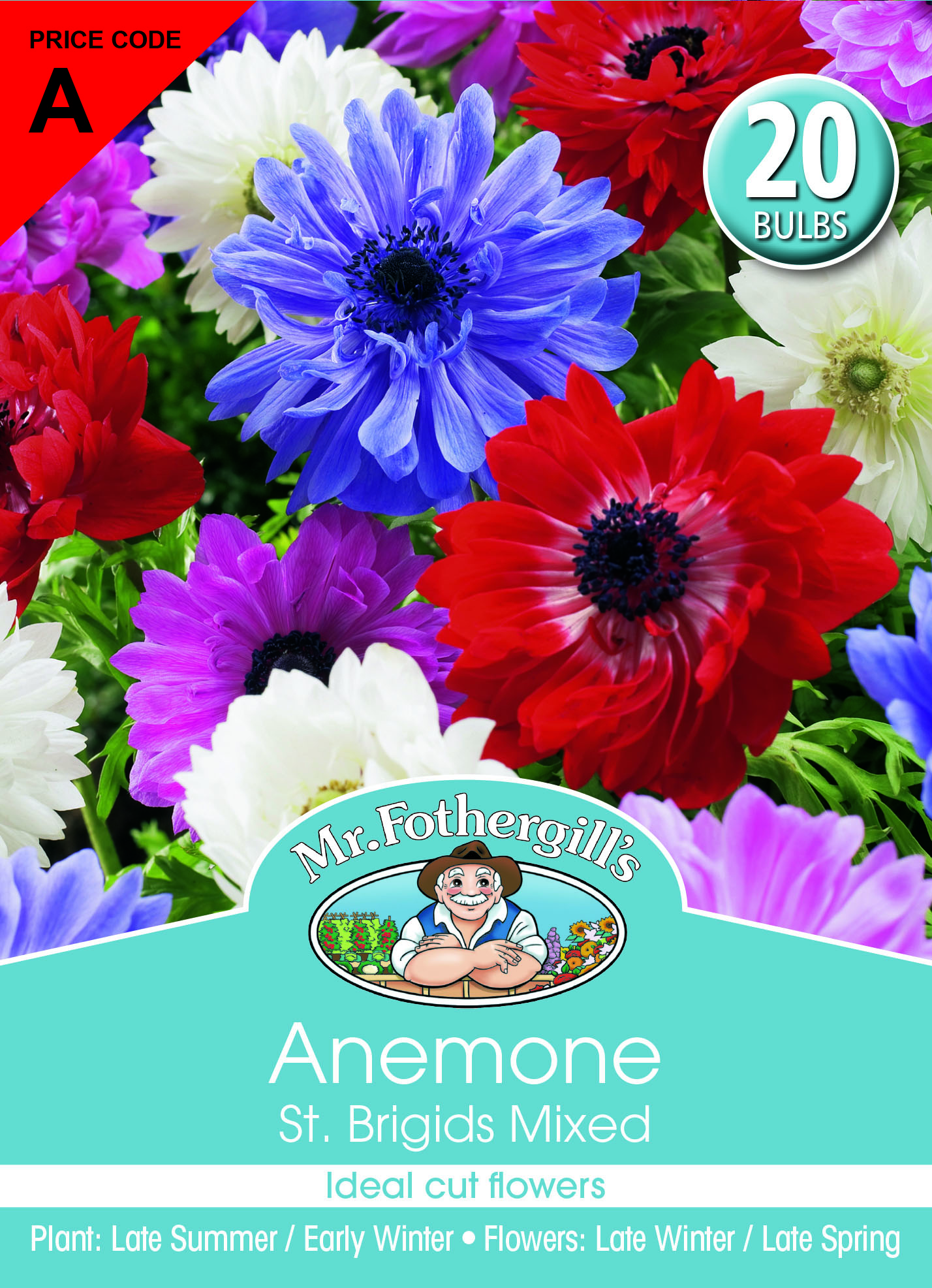 Anemone St Brigid.jpg