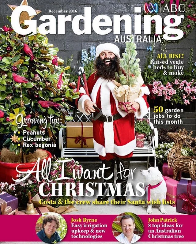 Many of you knew our Chilli. He was our mascot, our friend, a frequent visitor to all of our nurseries and many others, our company in the trucks, the protector of plants and the guy who thought he could take a nap in the most awkward of spots! Chilli passed away today after a month long battle with an extremely aggressive cancer but his legacy lives on in our stores, memories and hearts. Rest In Peace little guy xo 😘