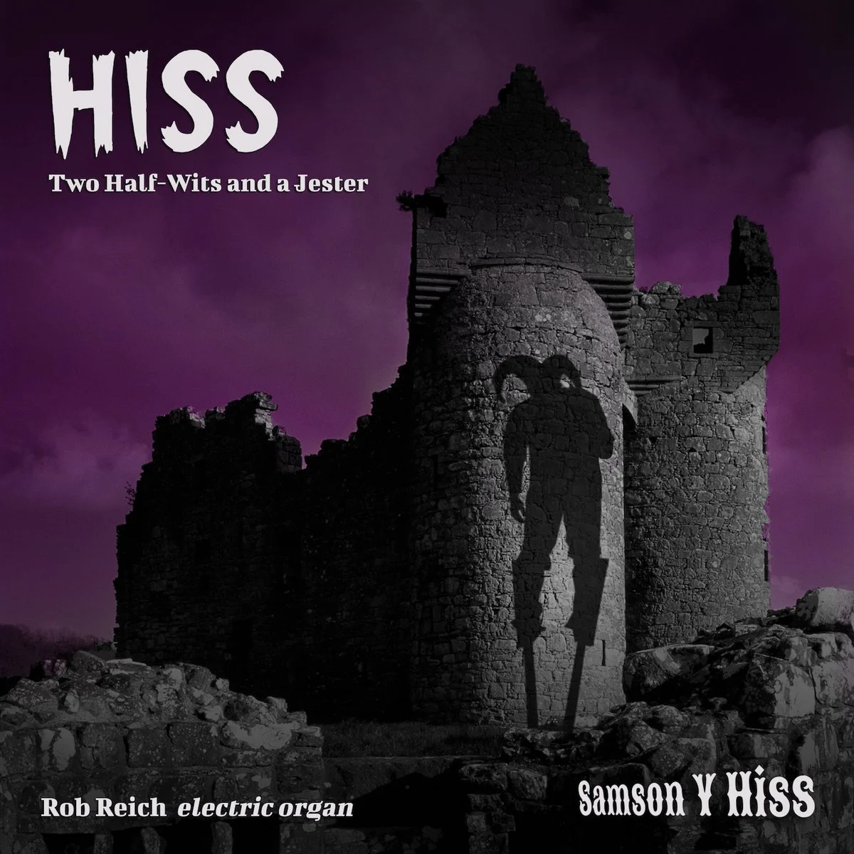 Two Half-Wits and a Jester cover