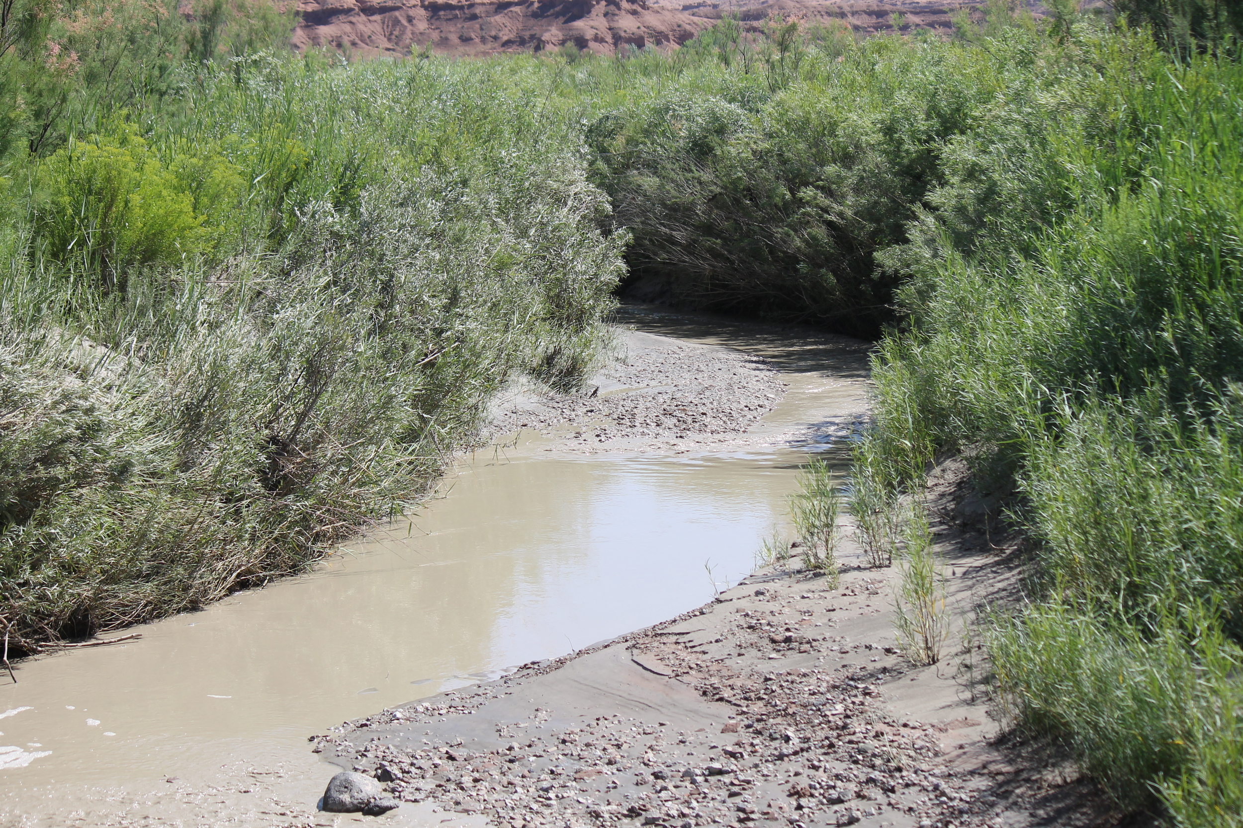 Muddy Creek from the Lone Tree Crossing bridge.
