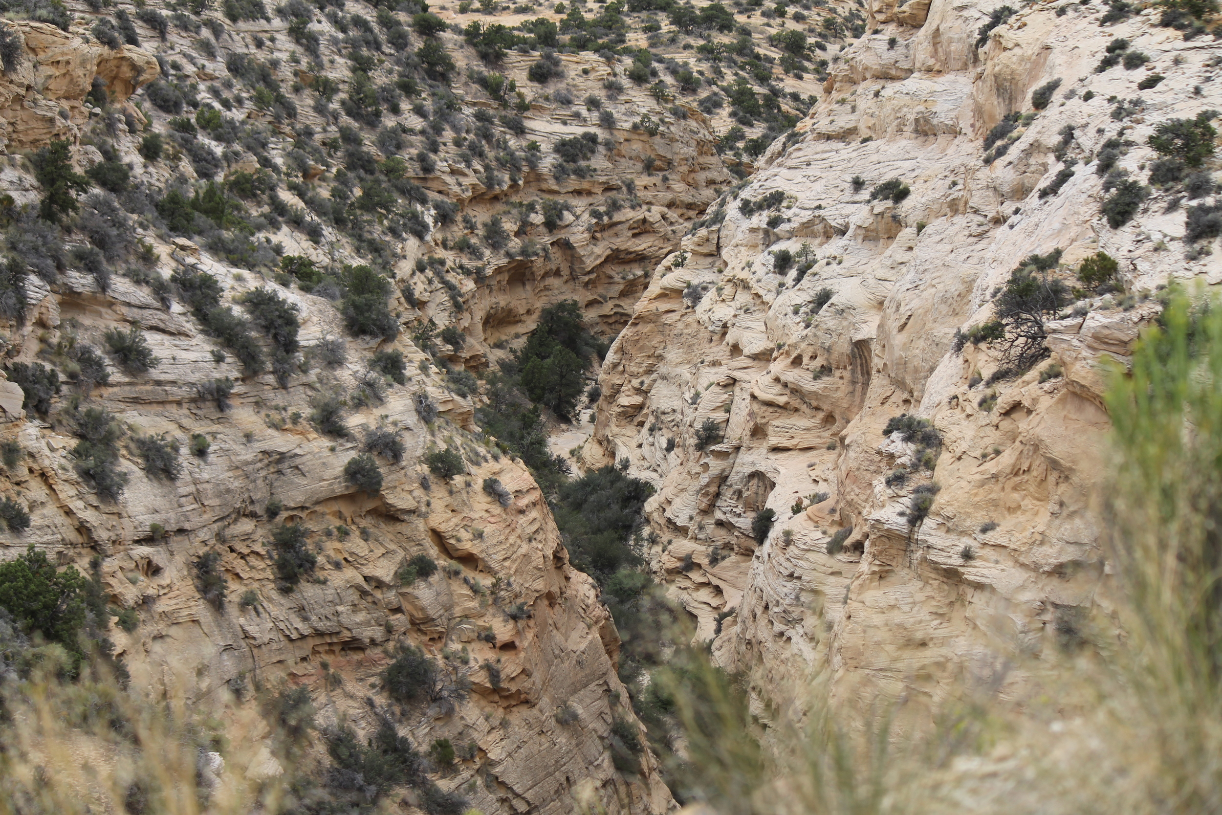 Peering into Devil's Canyon