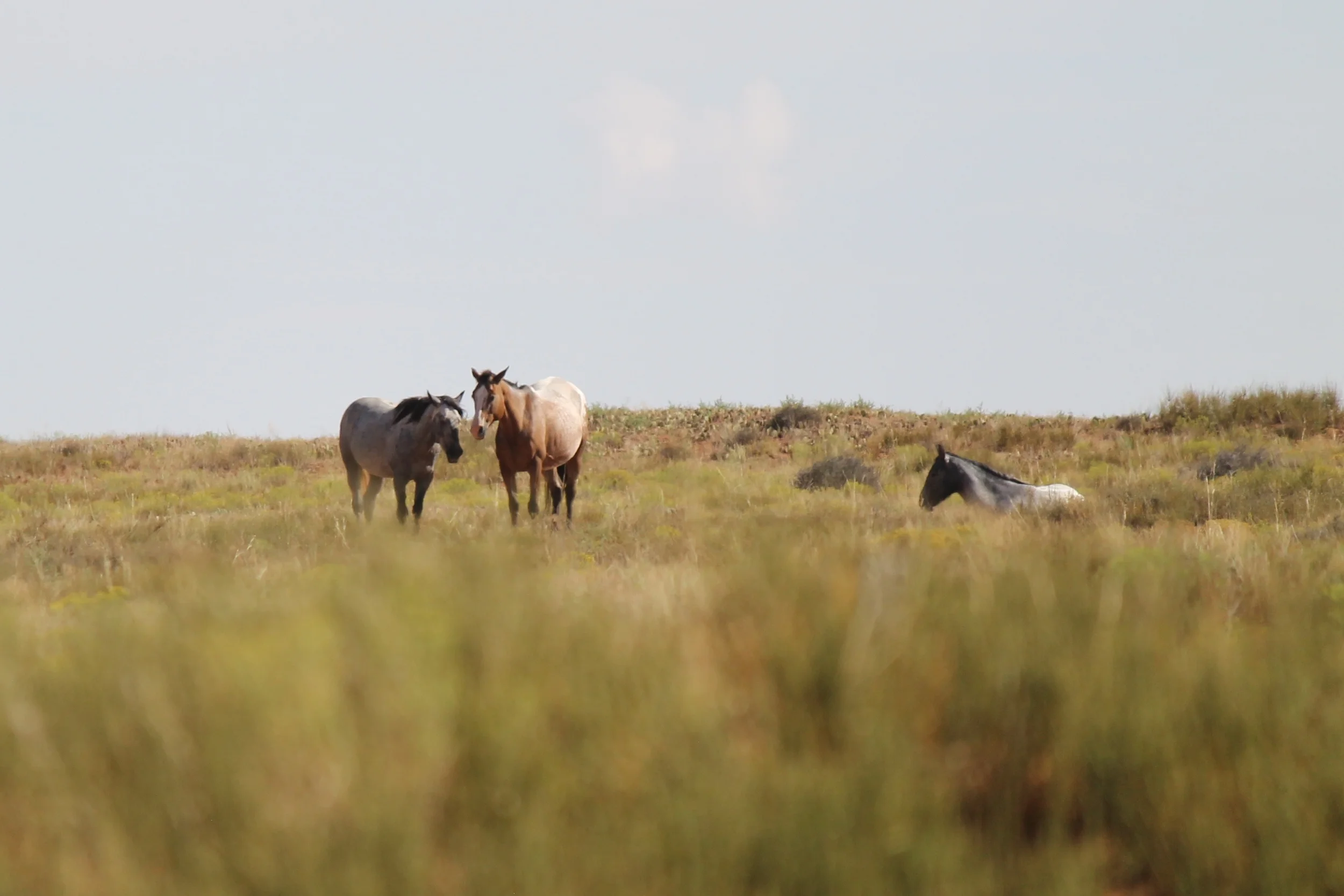 South of Sweetwater Reef.