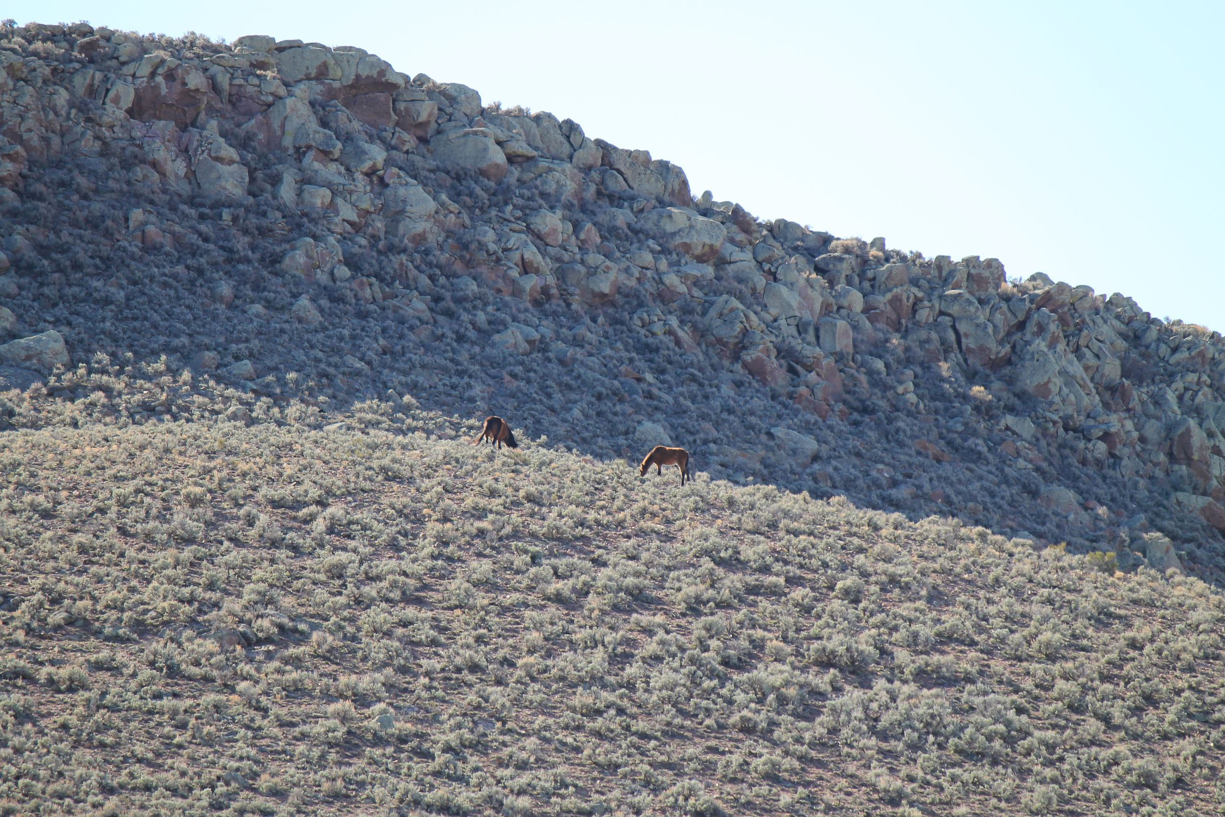 Closer view of two high on a hill