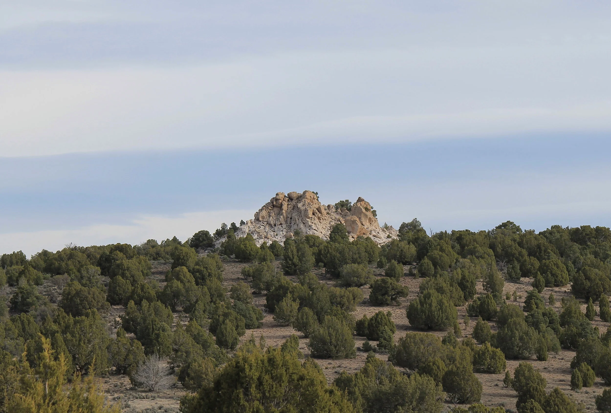 Rock formation amid the junipers inside the North Hills HMA.