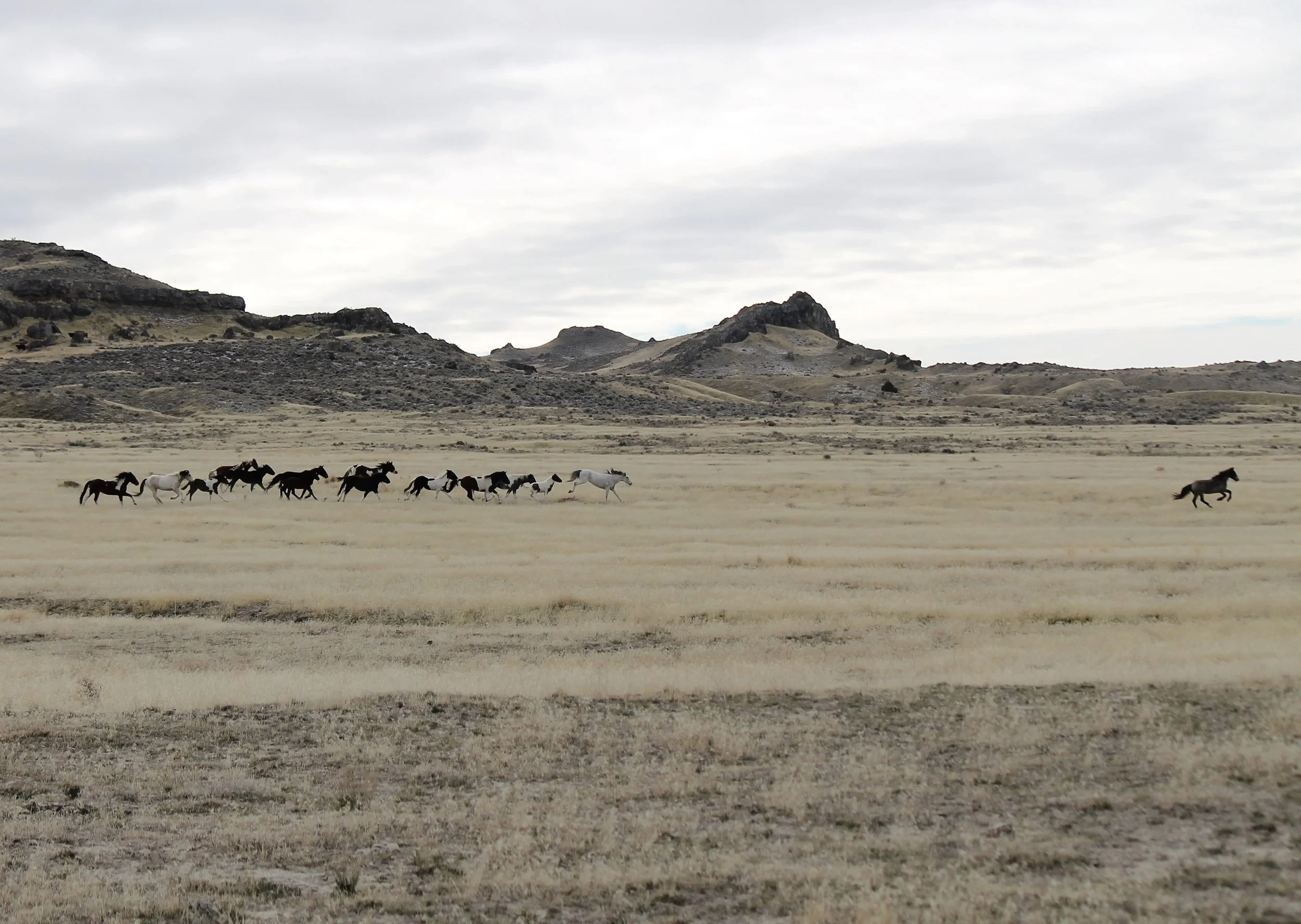 IMG_7636 5x4 (2).JPG