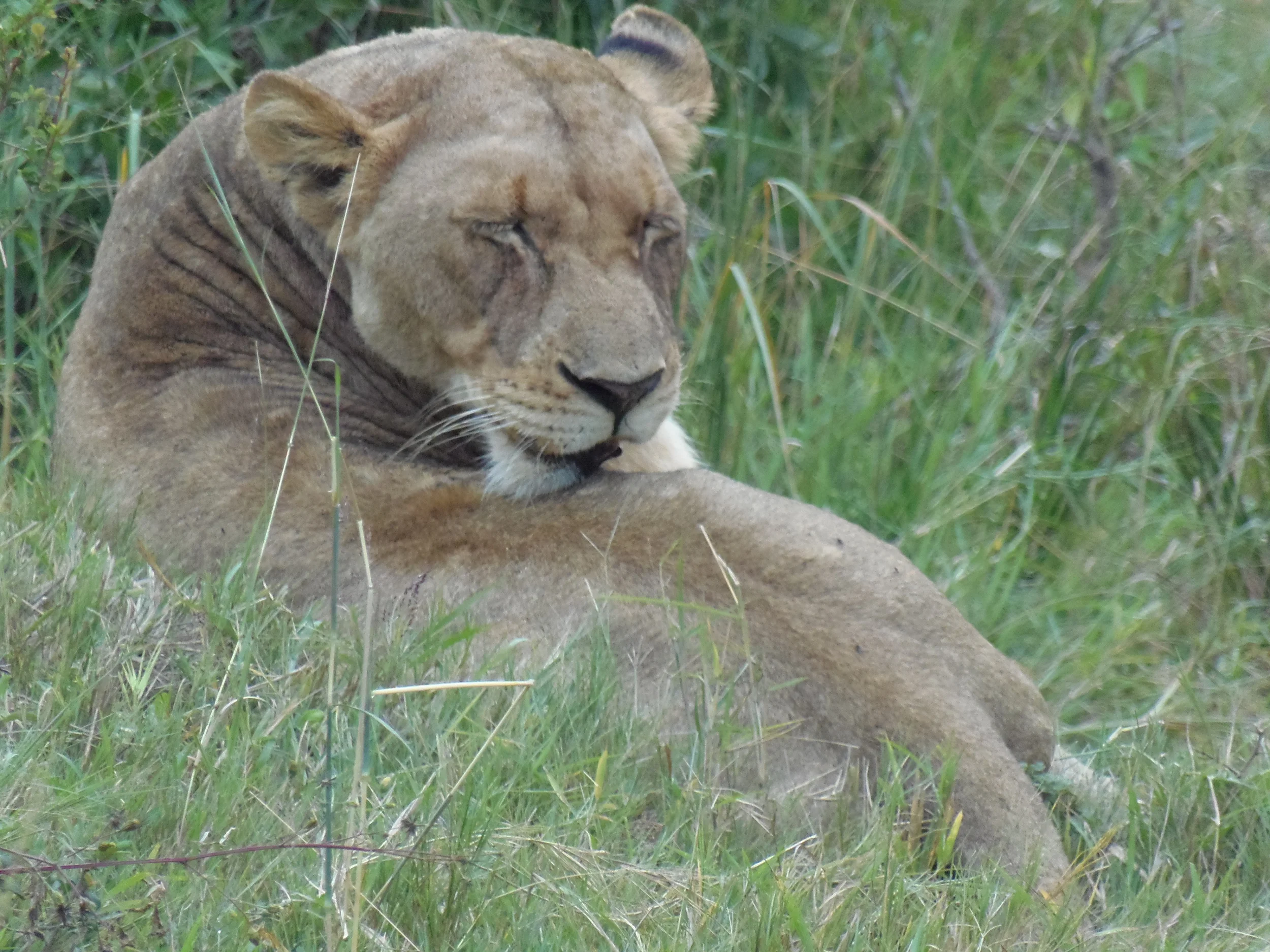 Adventures to follow 