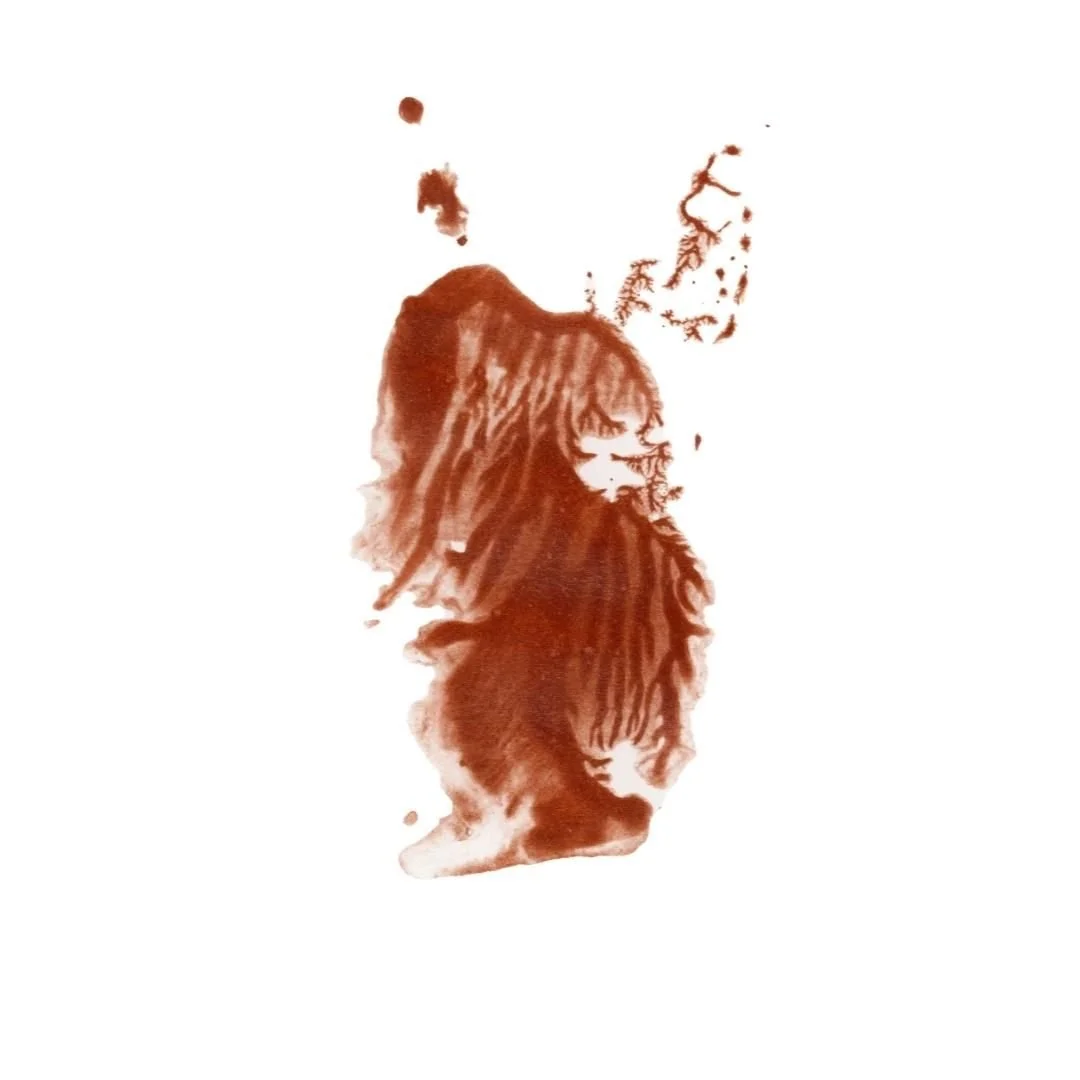 0001-41080379076.jpg