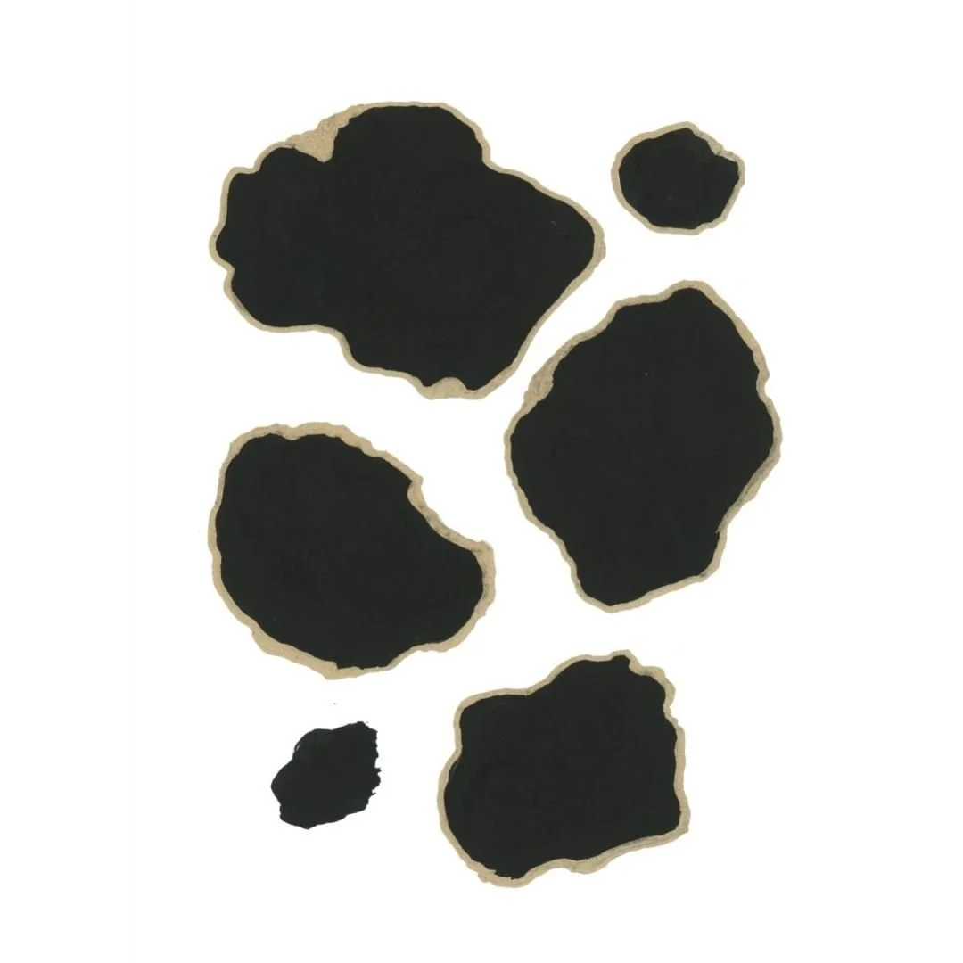 0001-41089118510.jpg