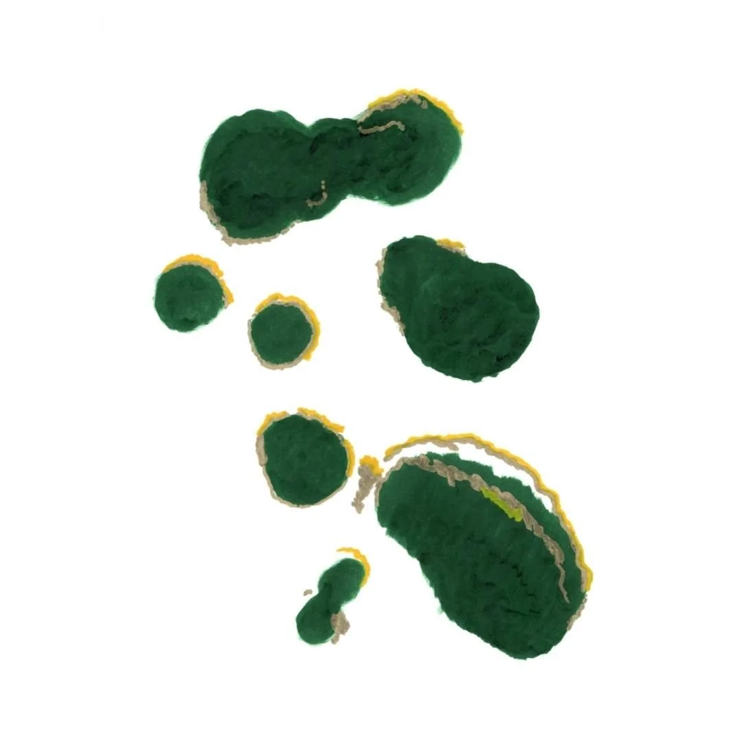 0001-41088033183.jpg