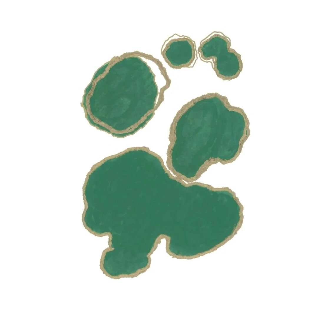 0001-41088523310.jpg
