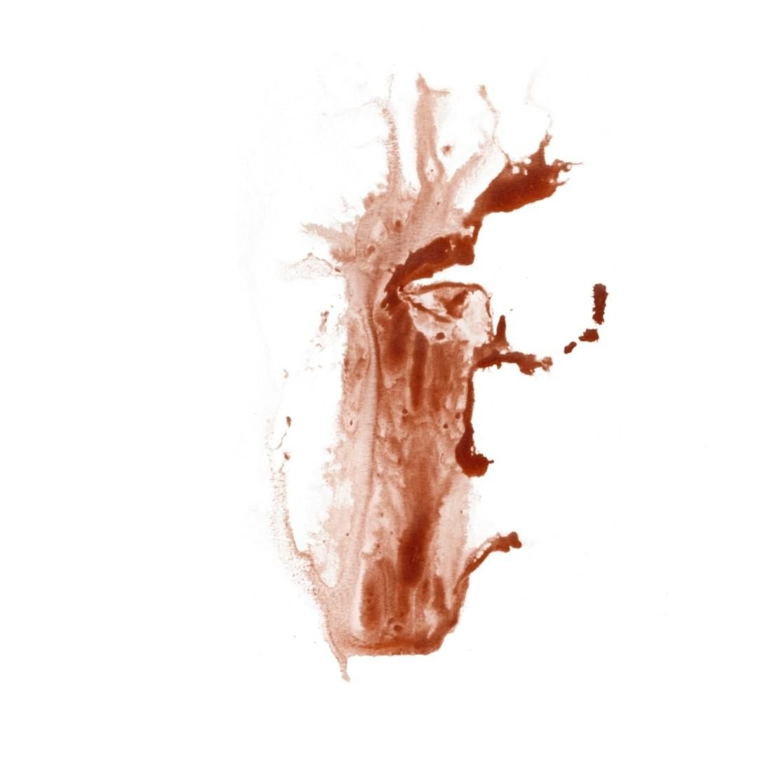 0001-41088382908.jpg