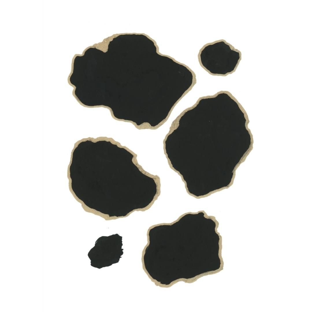 0001-41089118510.jpg