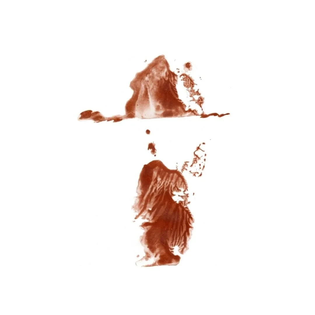 0001-41082011866.jpg