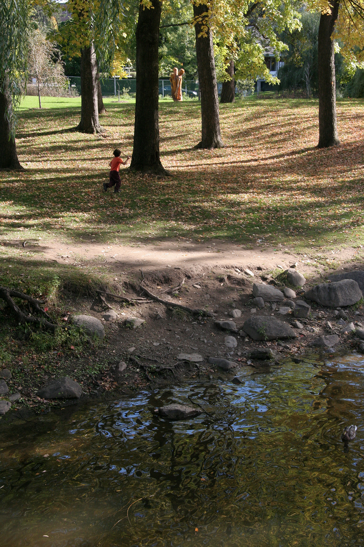 Quand l'automne arrive / When Fall is upon us / Parc Raimbault / Bordeaux-Cartiervile / 2006