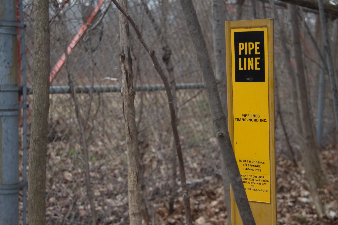 Pipeline / Parc-Nature du Bois-de-Liesse / Bordeaux-Cartierville / 2014