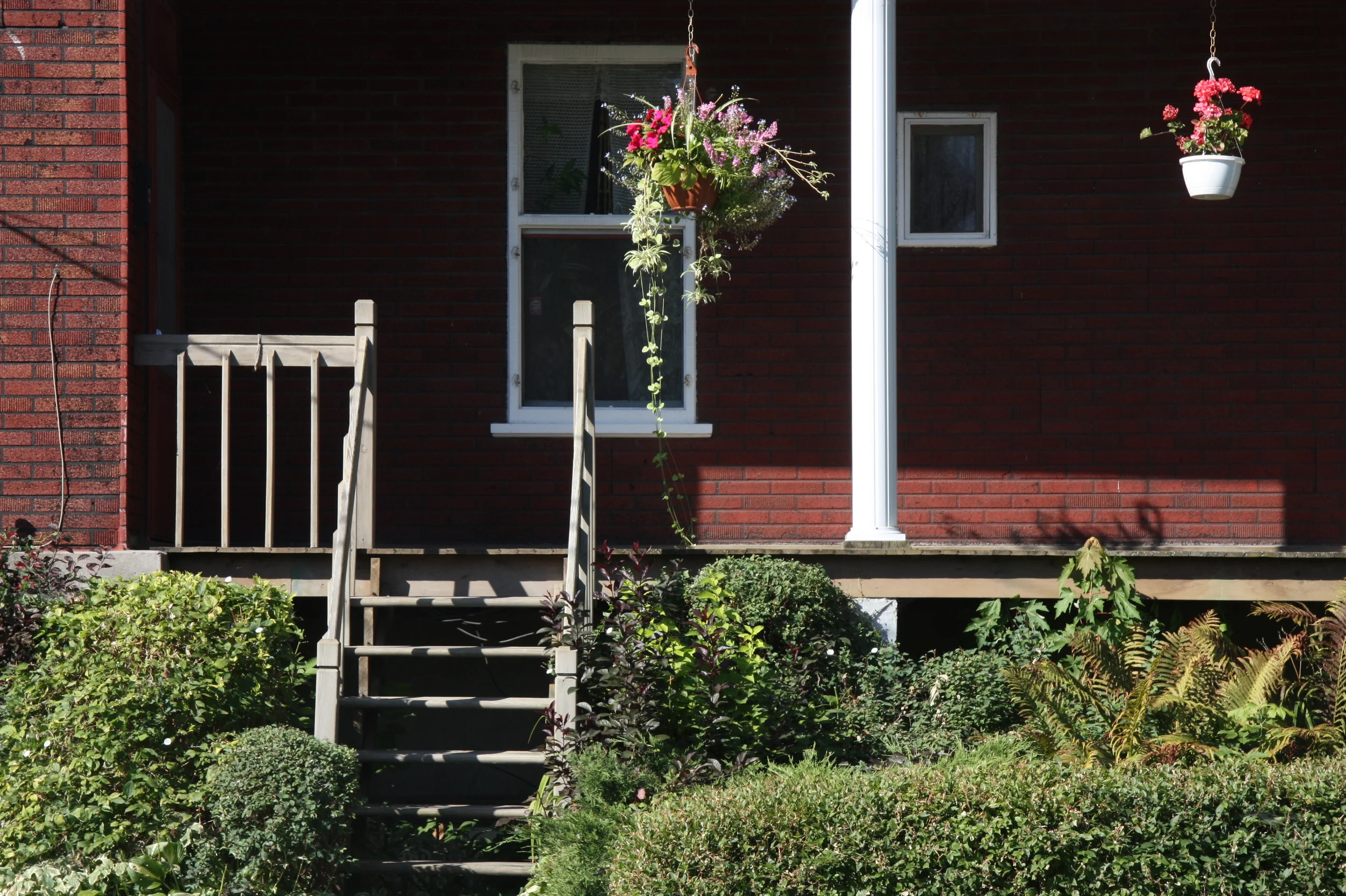 Le balcon fleuri / A flowered balcony / Montréal-Nord / 2010