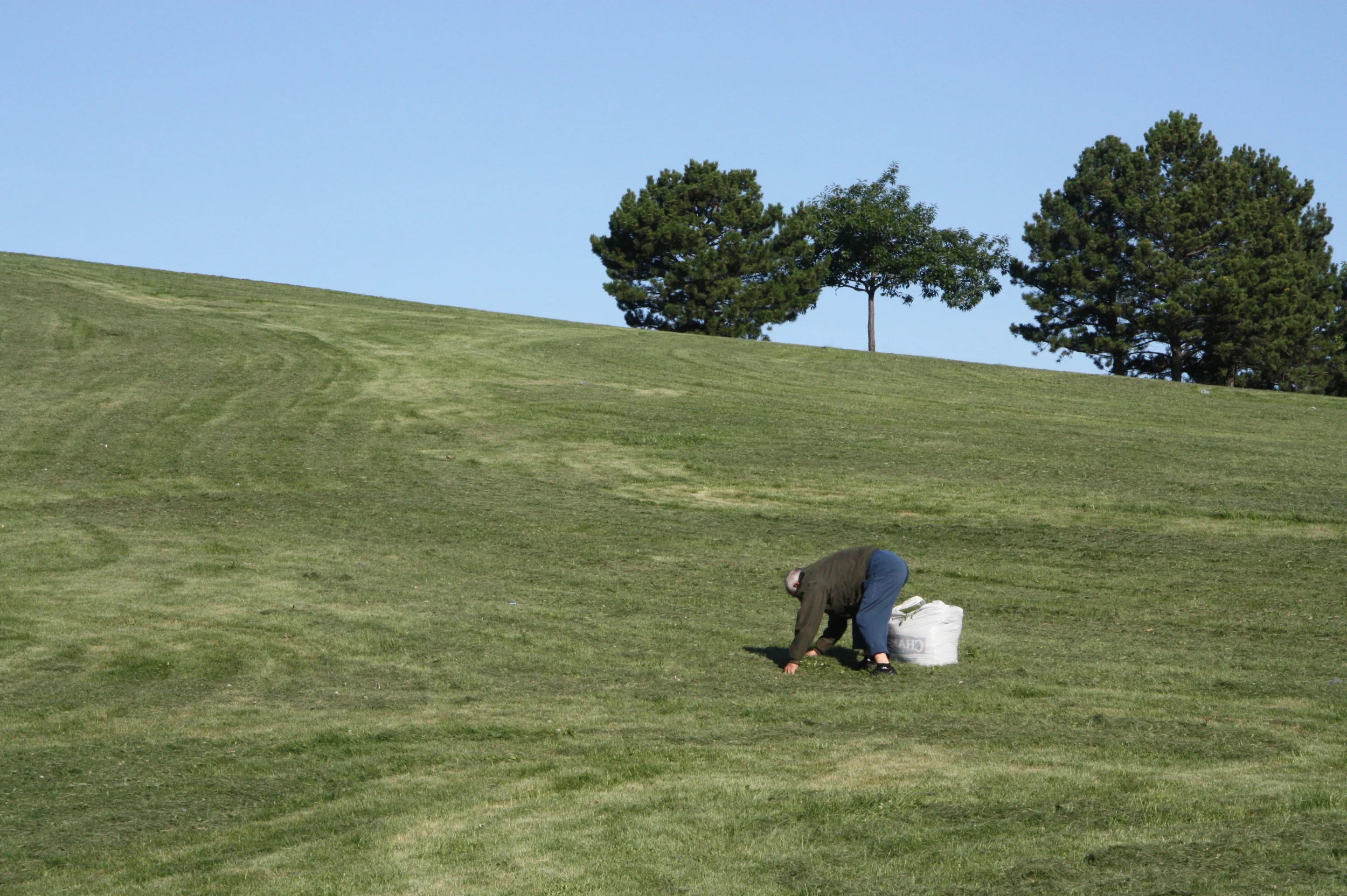 Le ramasseur / The picker /Parc des hirondelles / Sault-au-récollet / 2010