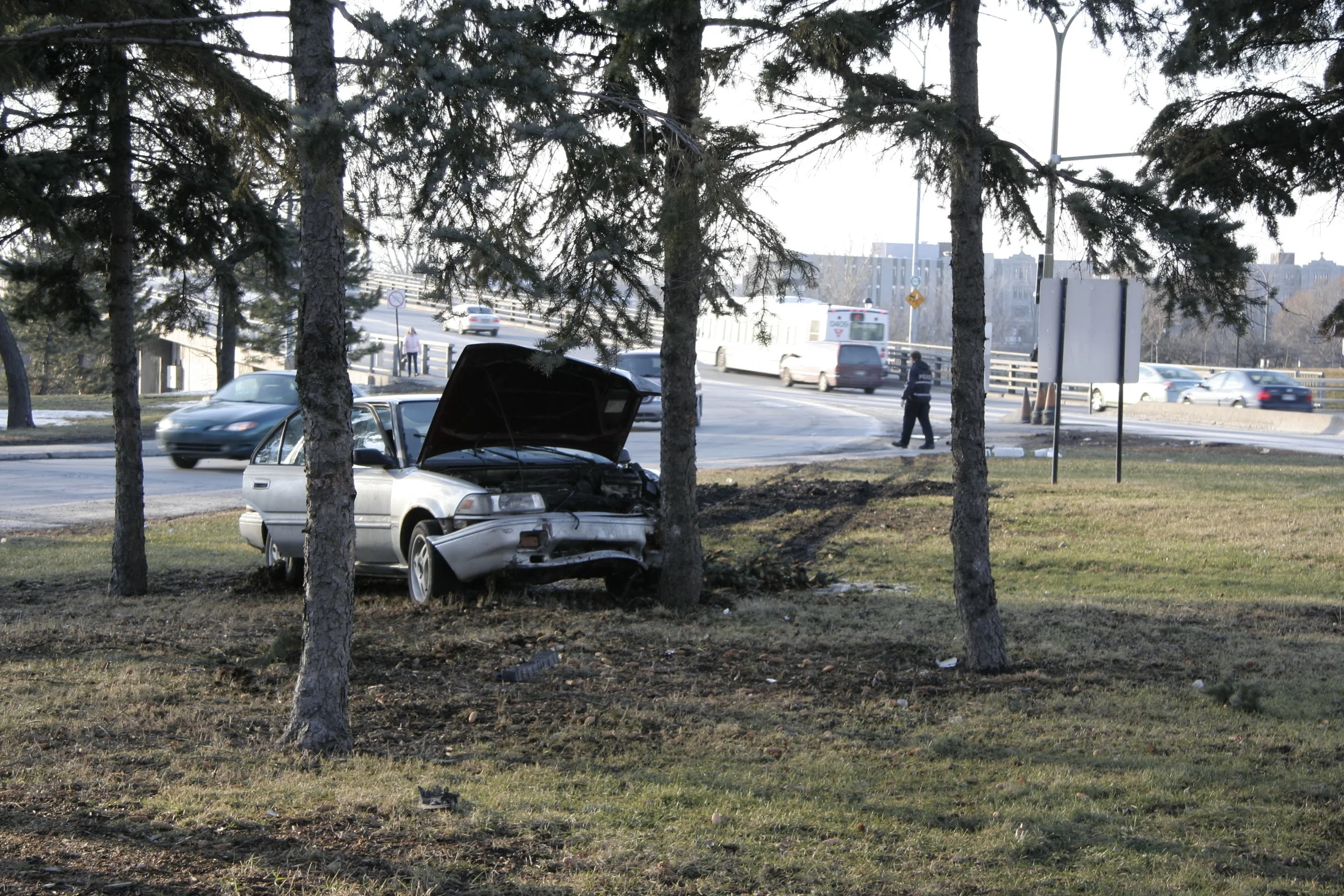 une arrivée fracassante / A smashing arrival / Ahuntsic / 2007