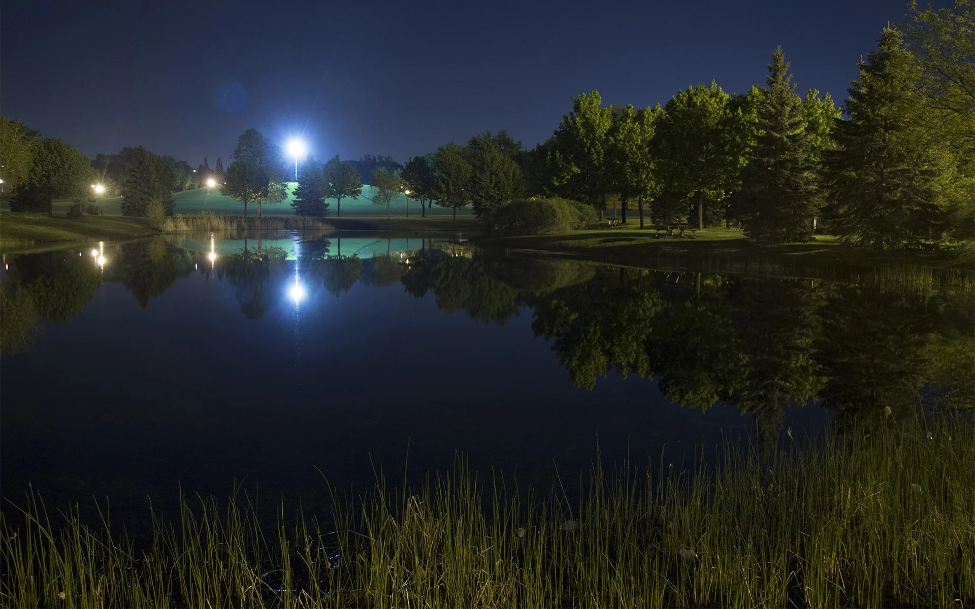 Eaux dormantes / sleeping waters / Parc Ahuntsic / 2013