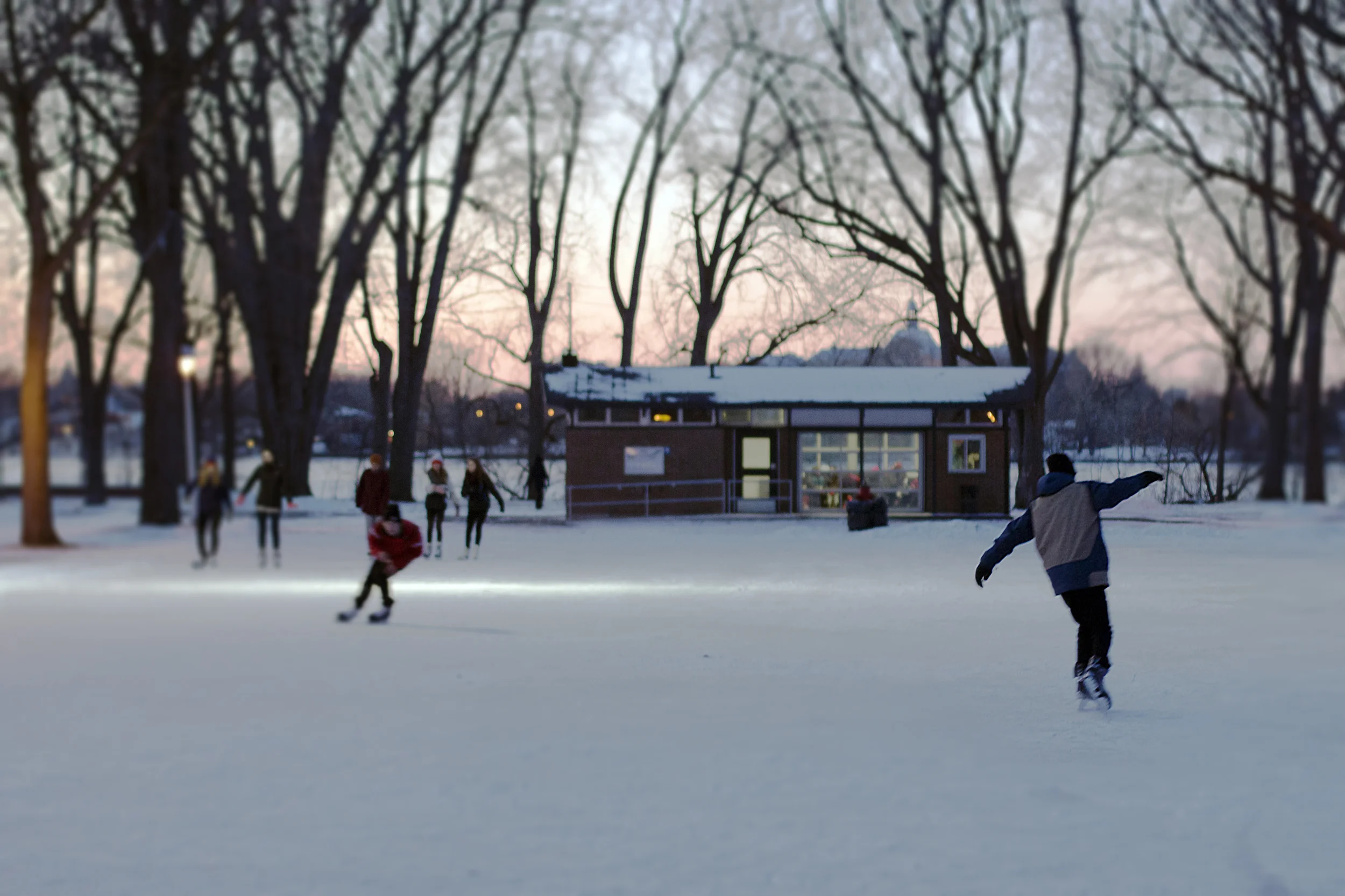 Les patineurs / The skaters / Parc Nicolas-Viel / Ahuntsic / 2015