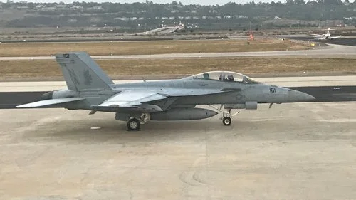 hornet.jpg