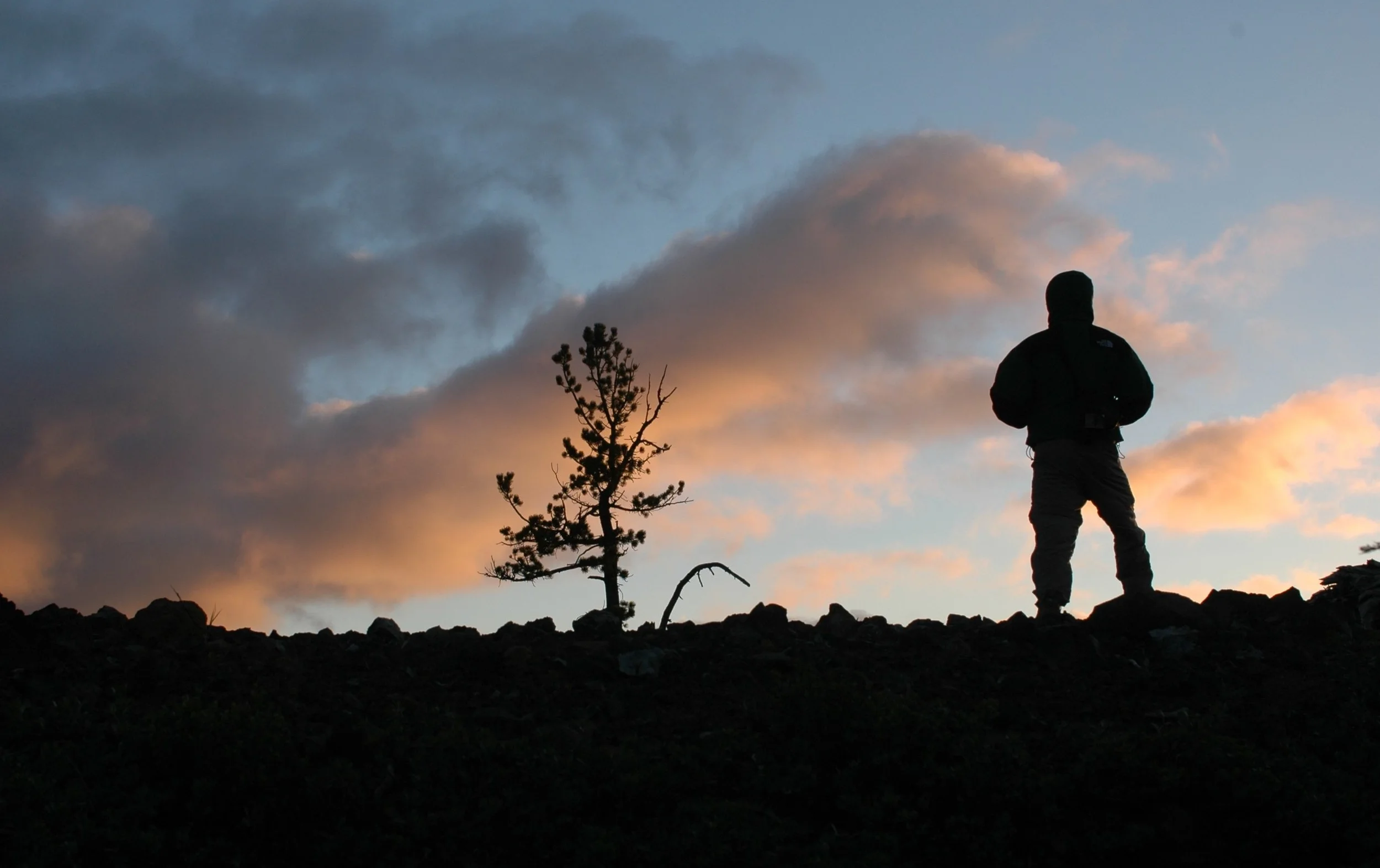 DSC_0108 cropped.JPG